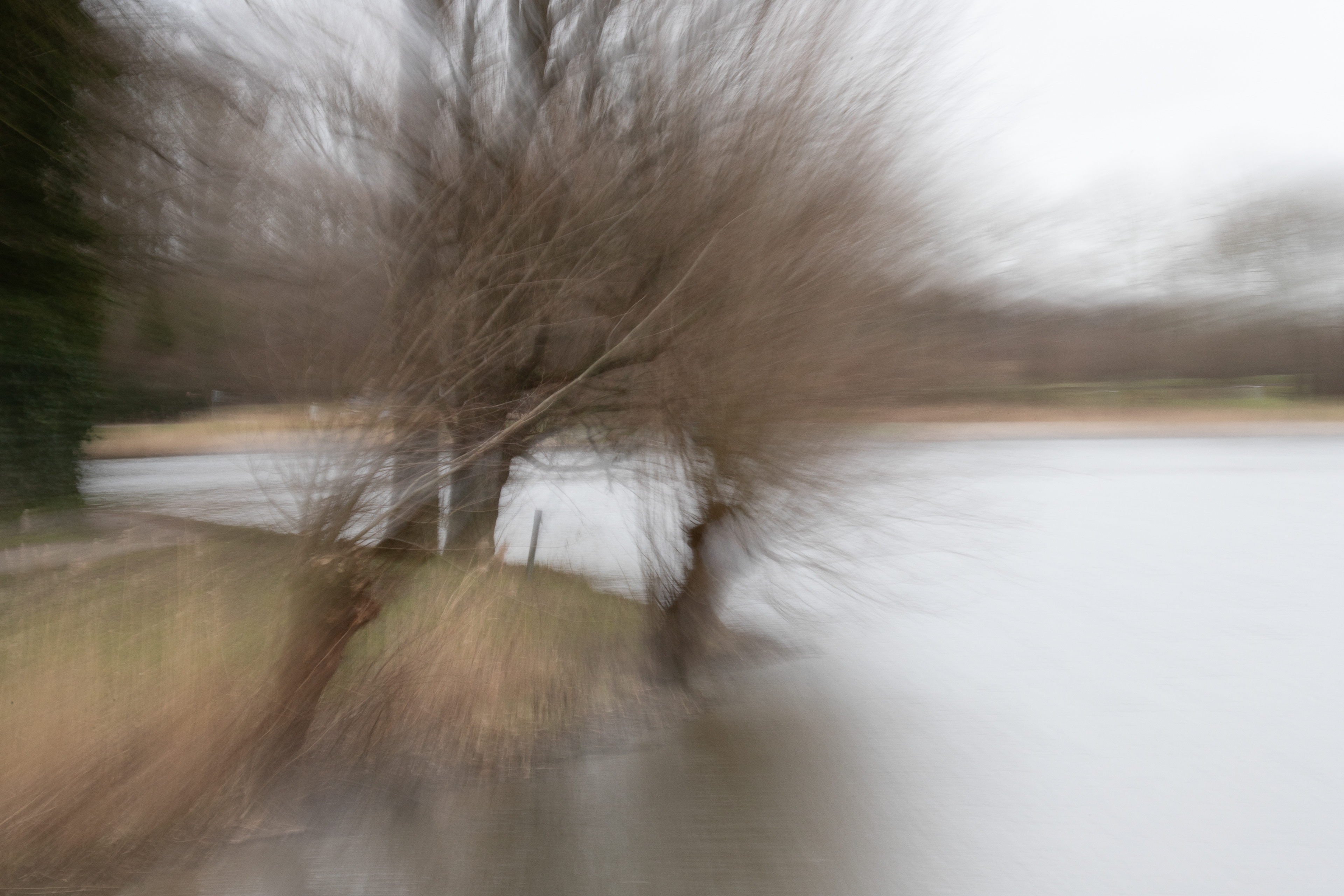 Intentional Camera Movement (ICM)