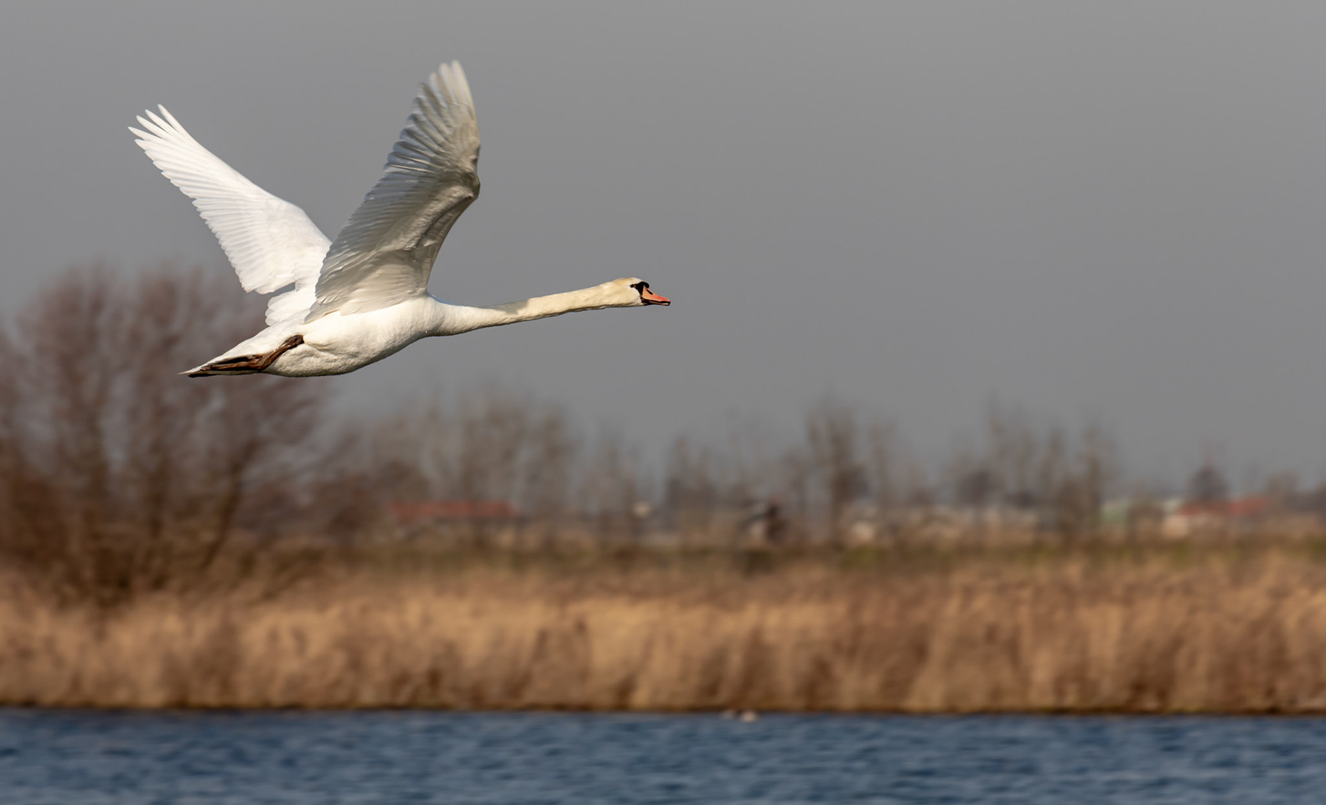 Benthuizerplas Zoetermeer