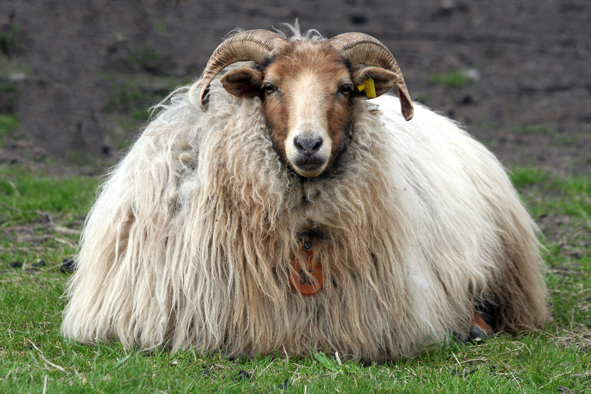 Westerpark, Zoetermeer