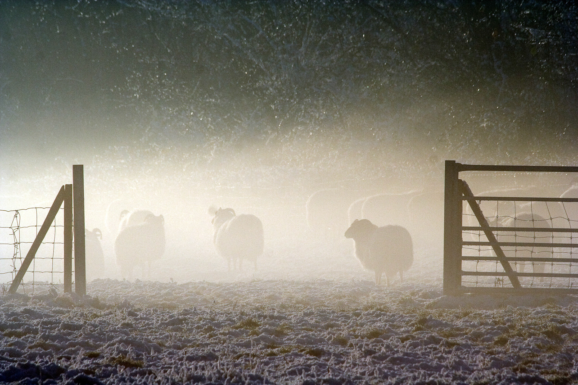 Westerpark, Zoetermeer