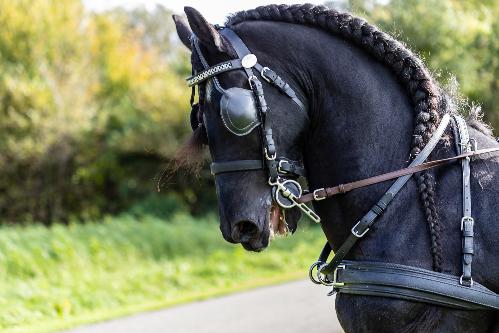 Westerpark, Zoetermeer