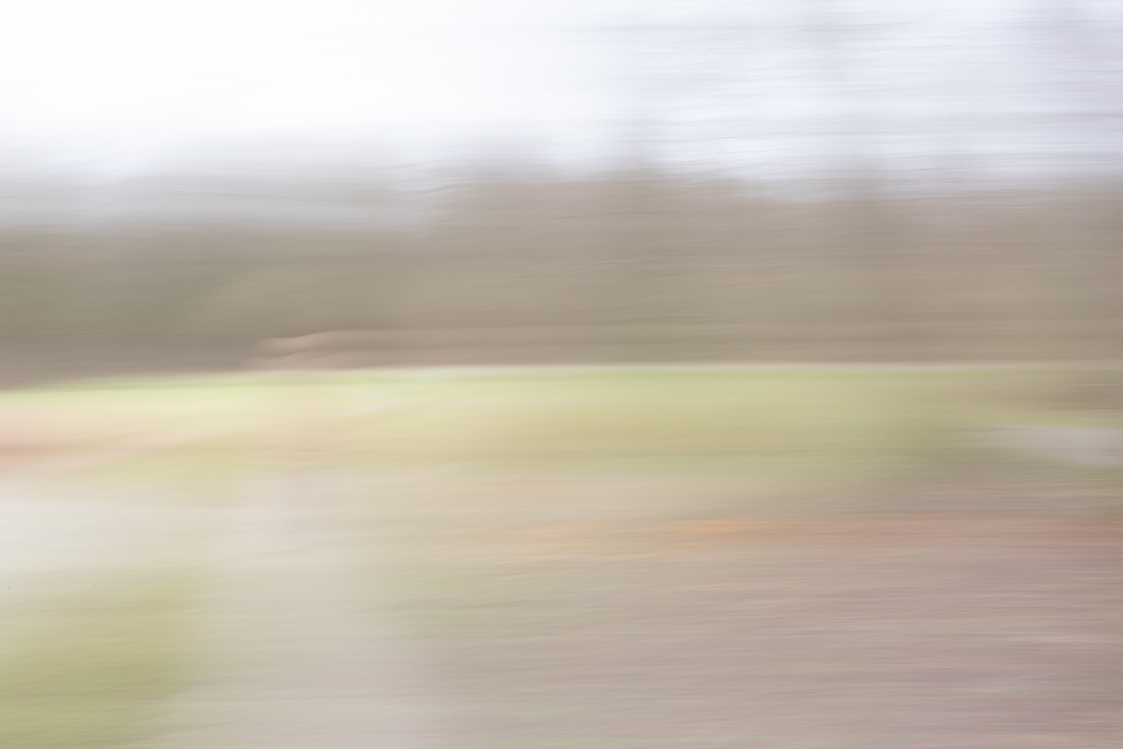 Intentional Camera Movement (ICM)