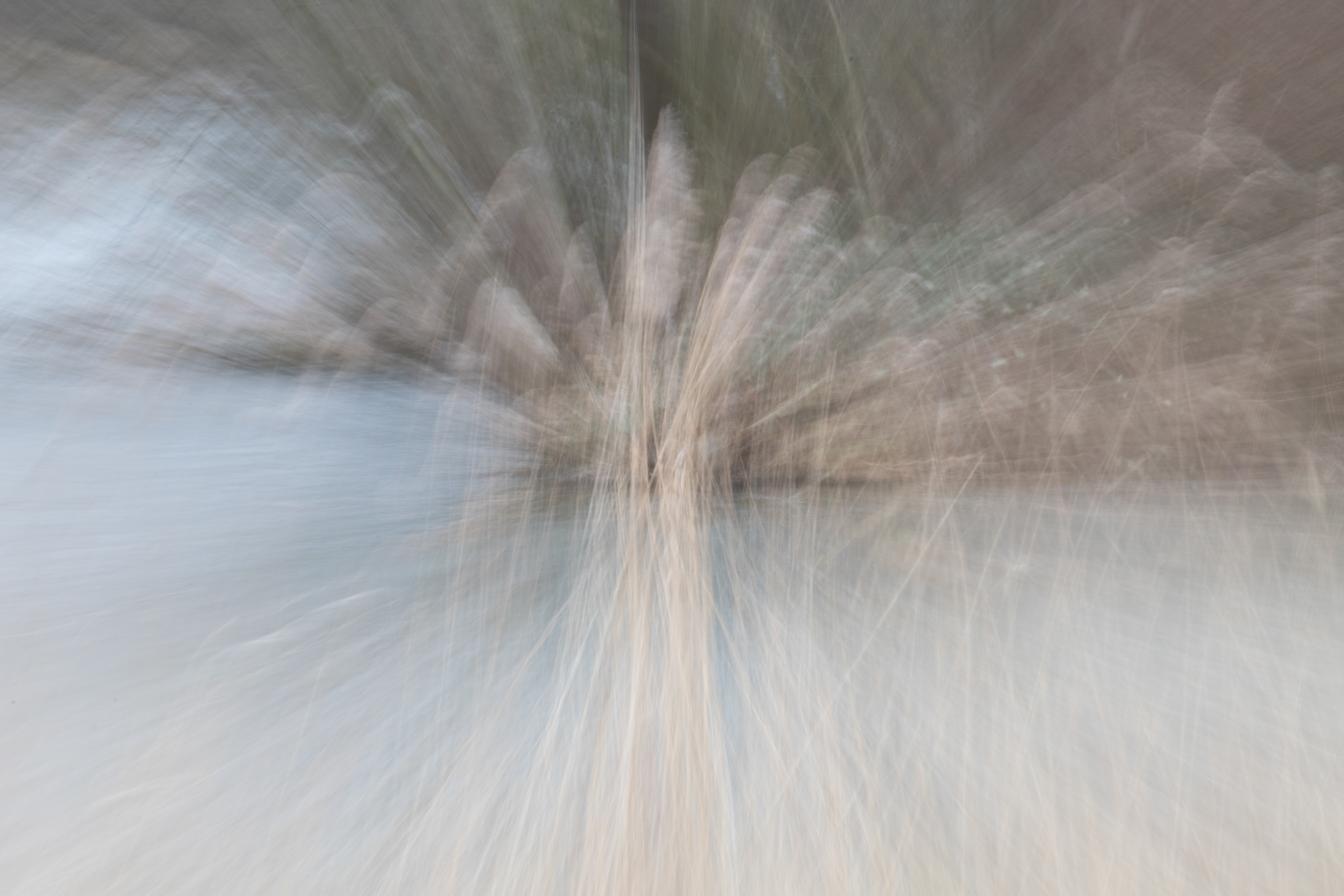 Intentional Camera Movement (ICM)