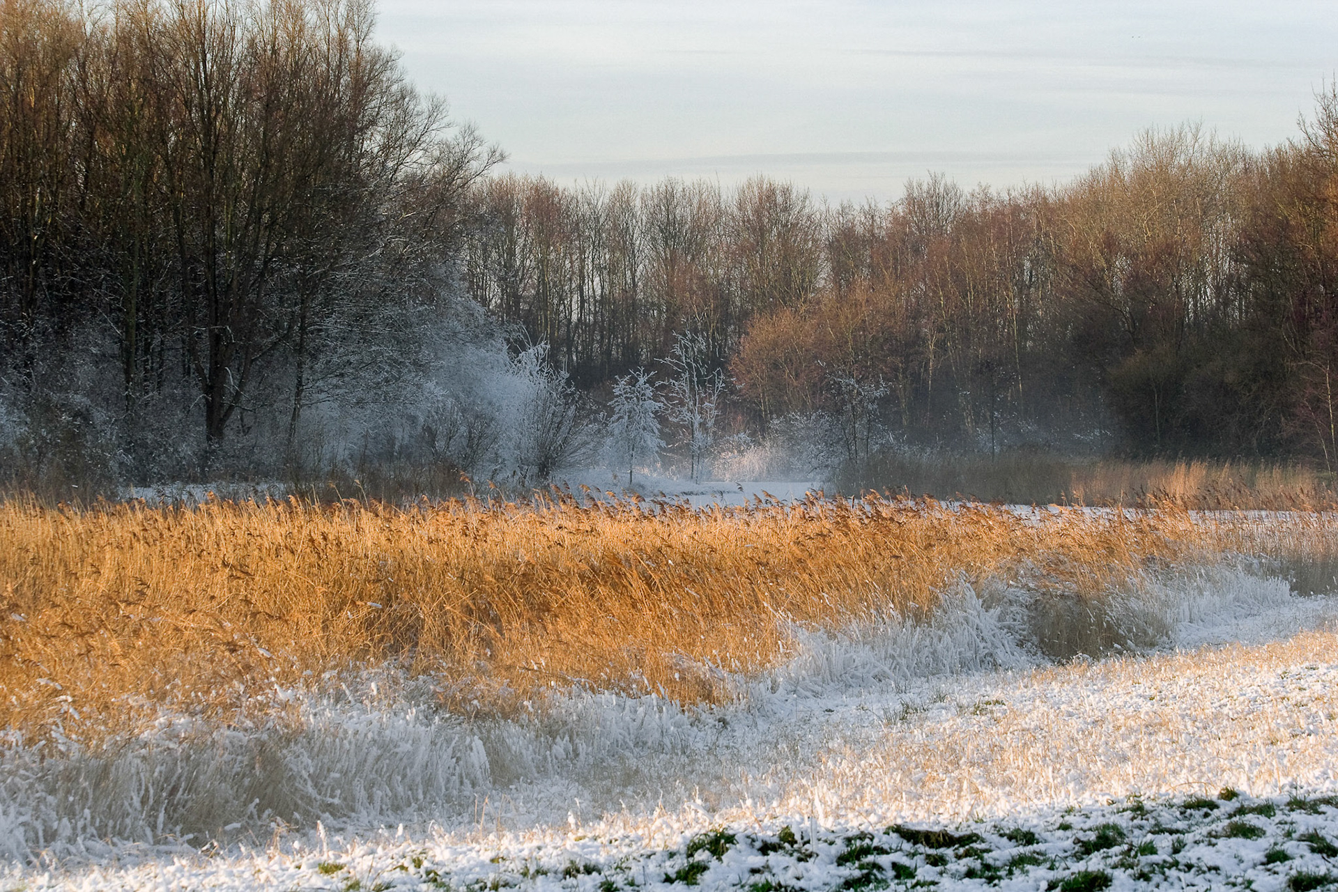 Westerpark, Zoetermeer