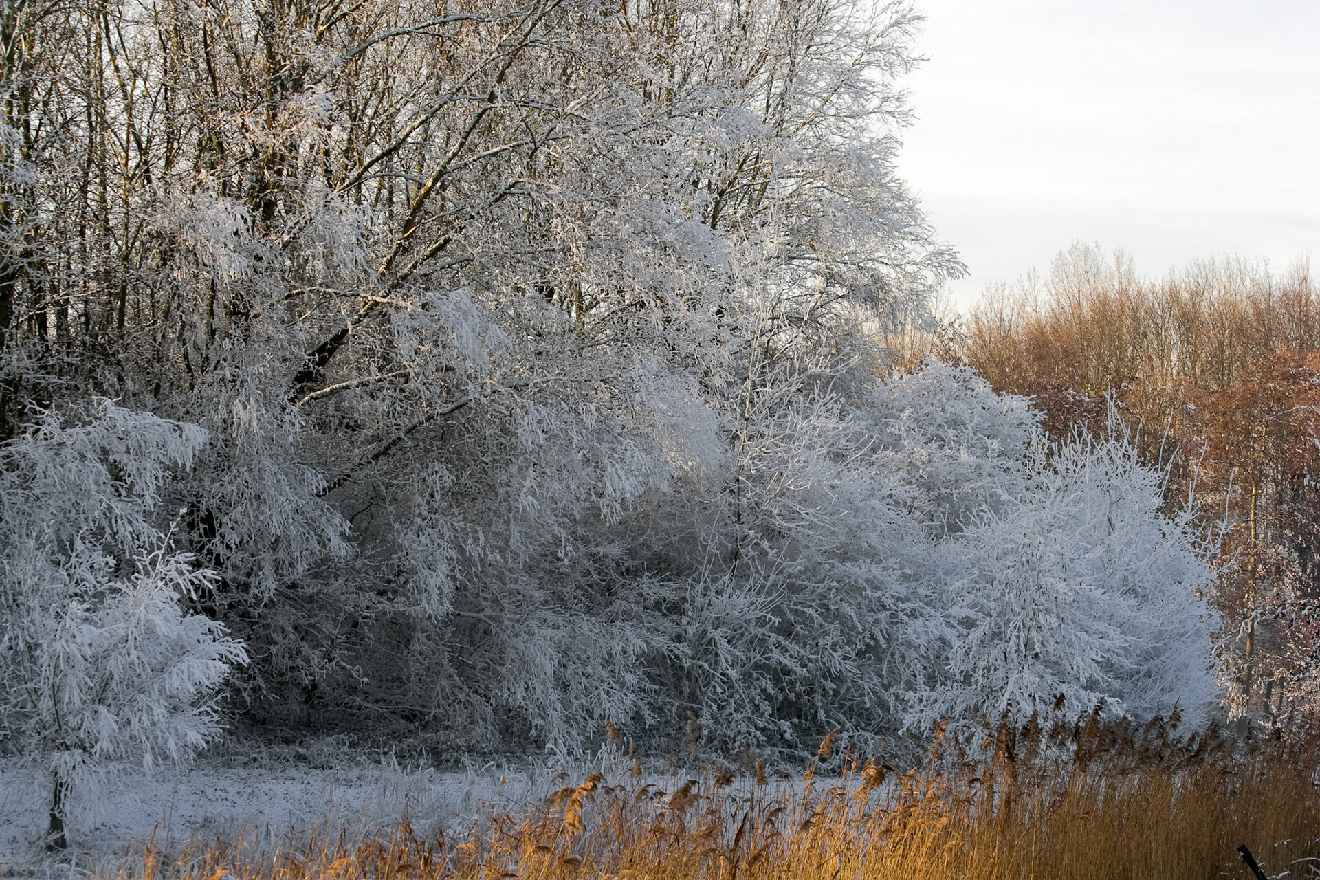 Westerpark, Zoetermeer