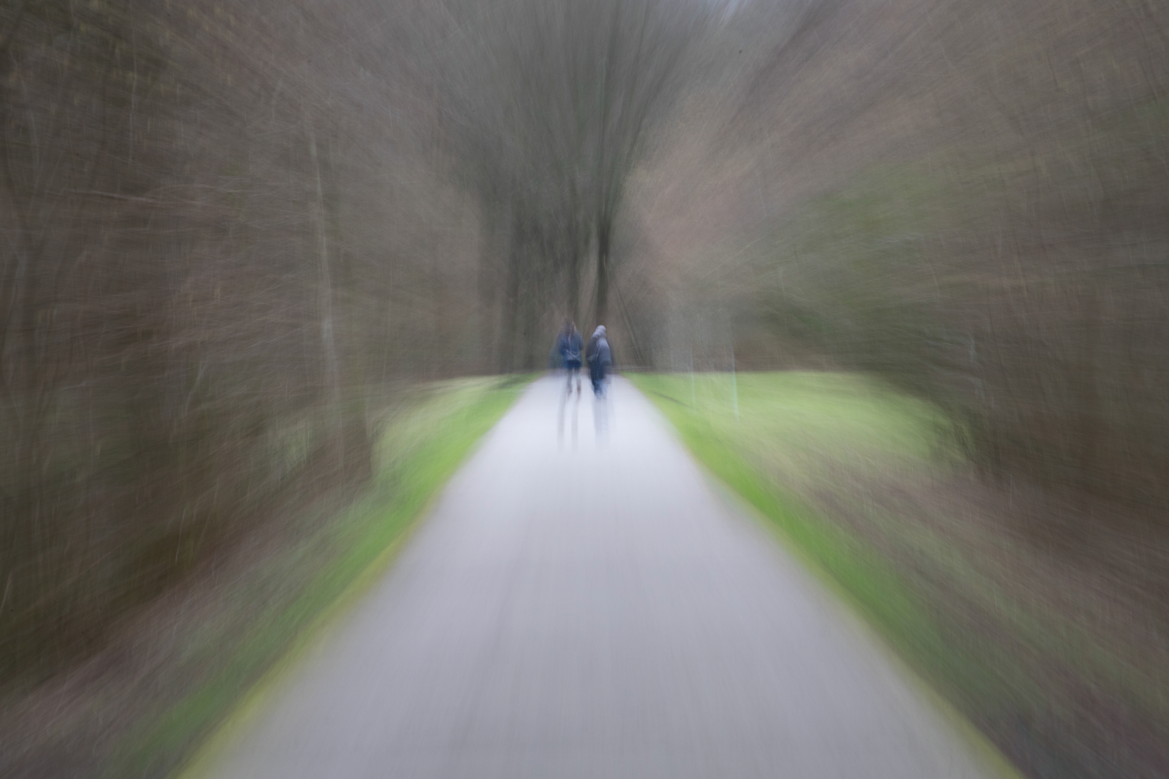 Intentional Camera Movement (ICM)