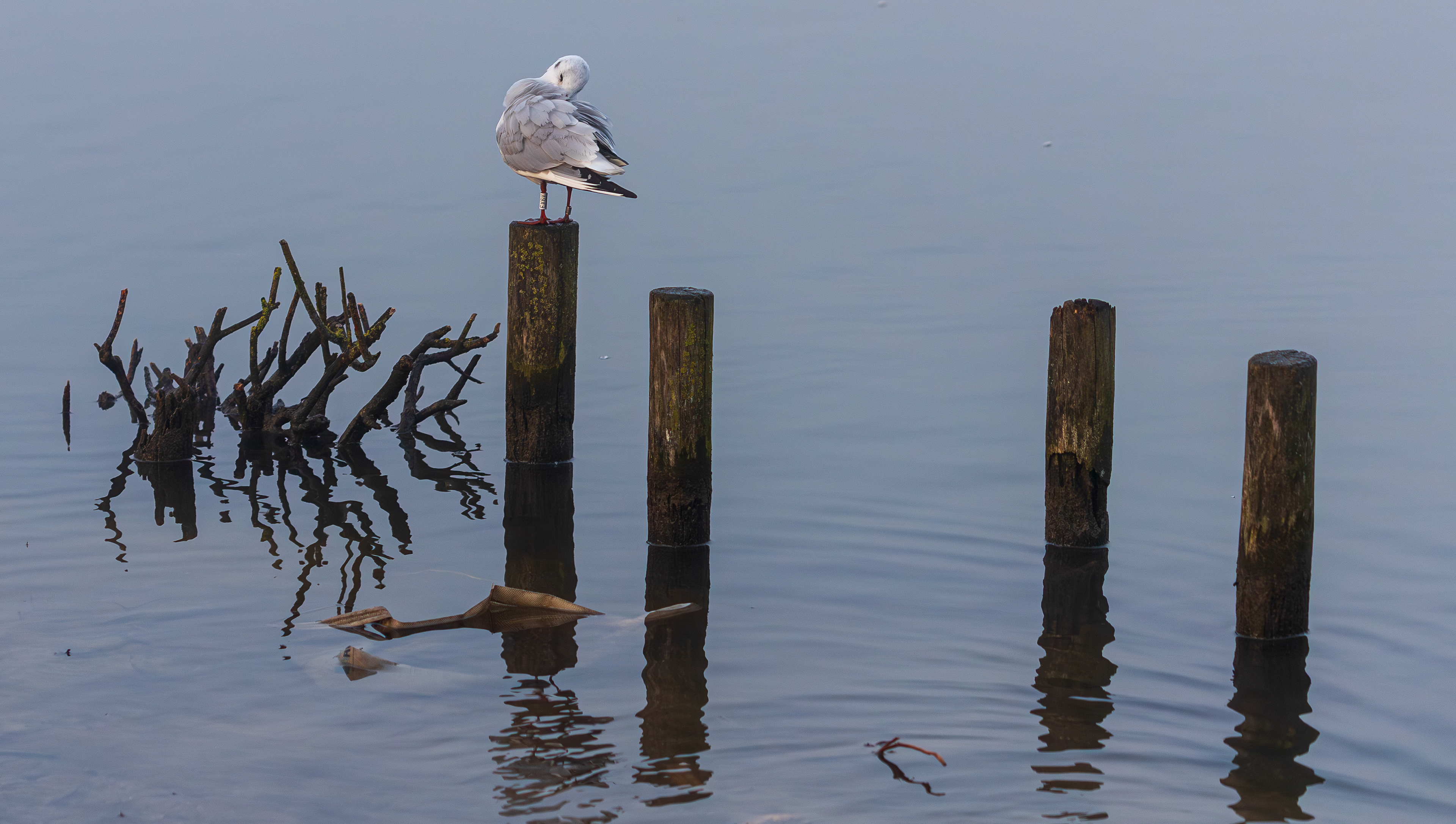 Oosterheem, Zoetermeer