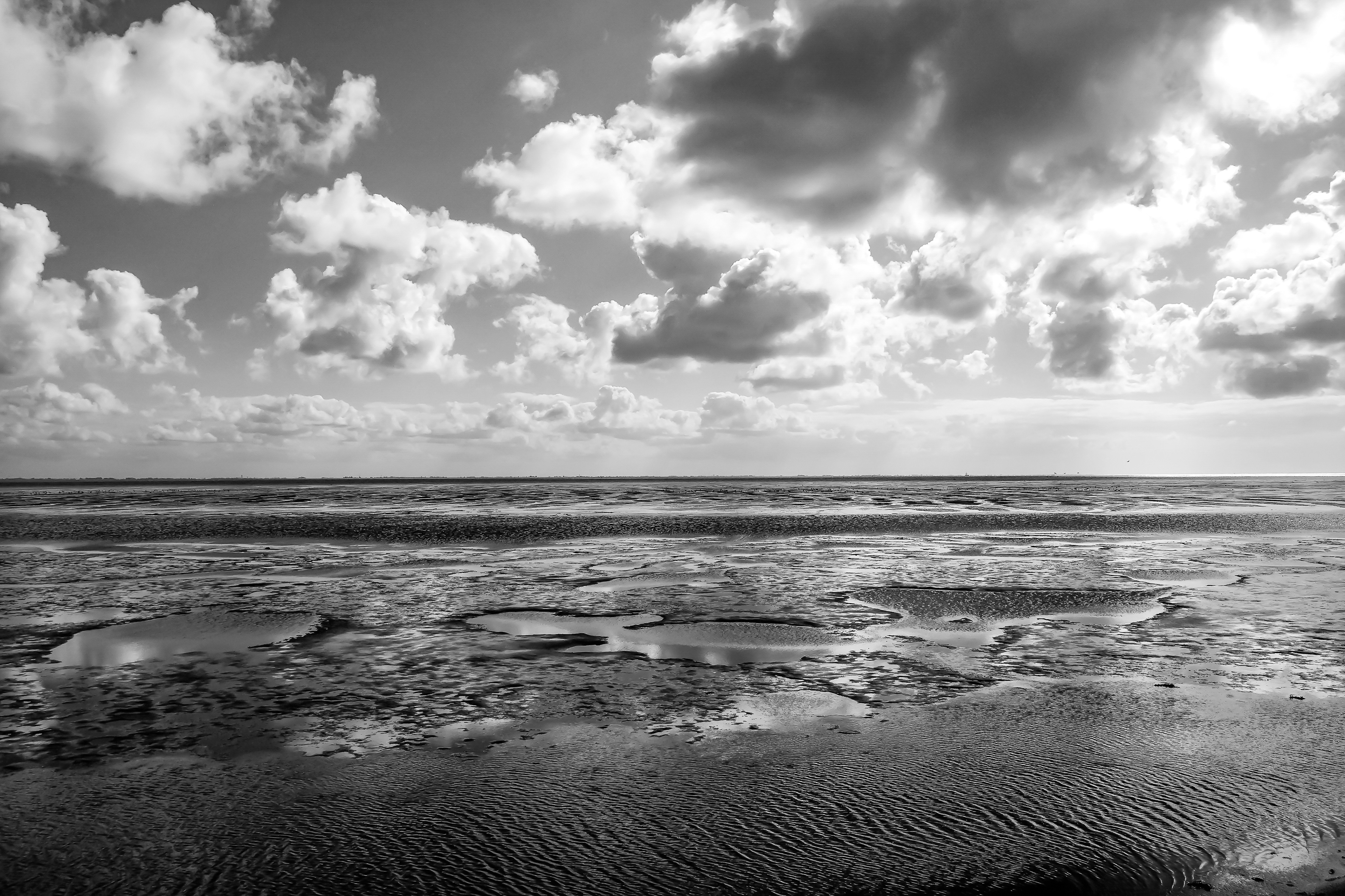 Ameland (wadkant)