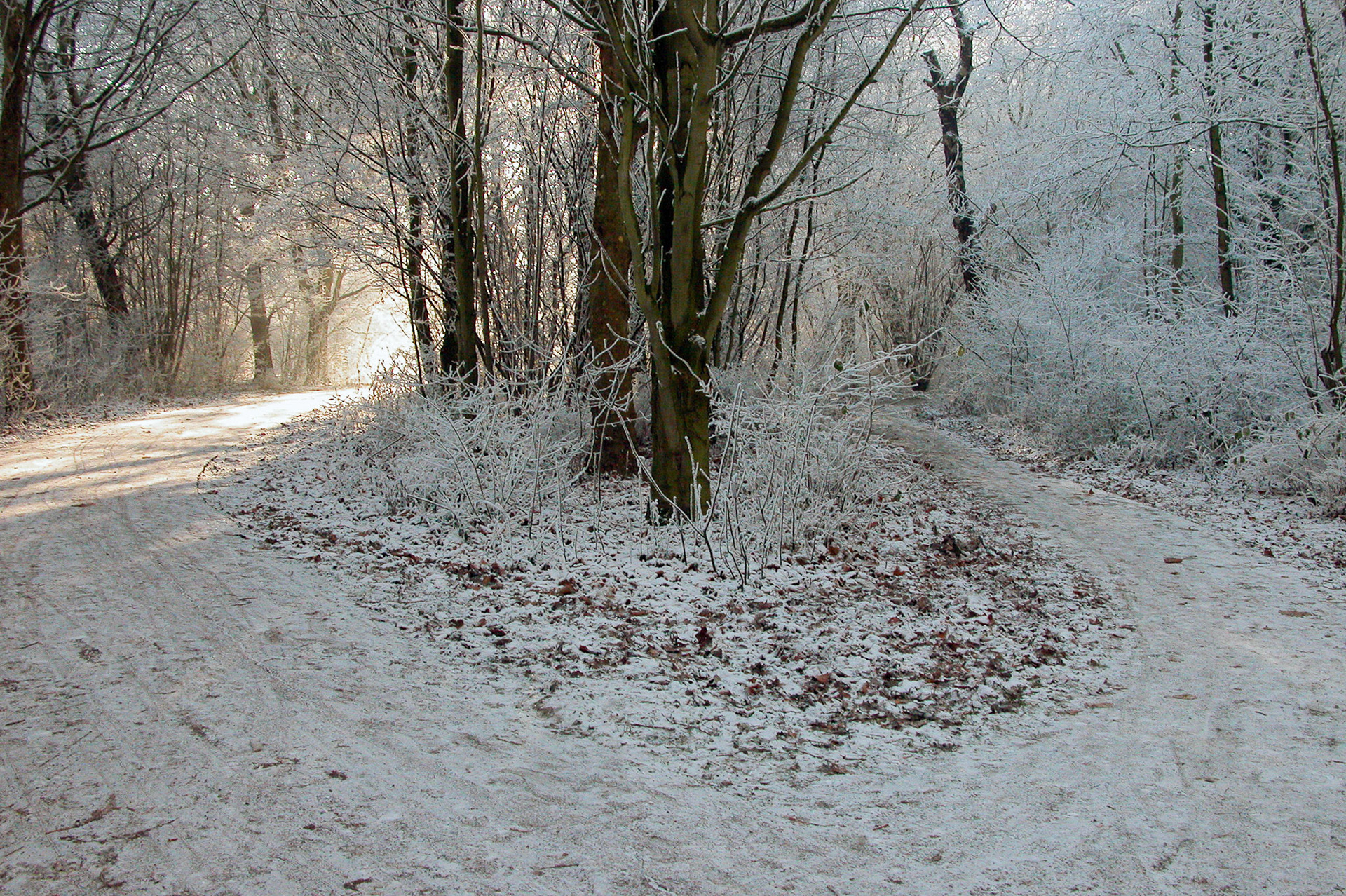 Westerpark, Zoetermeer