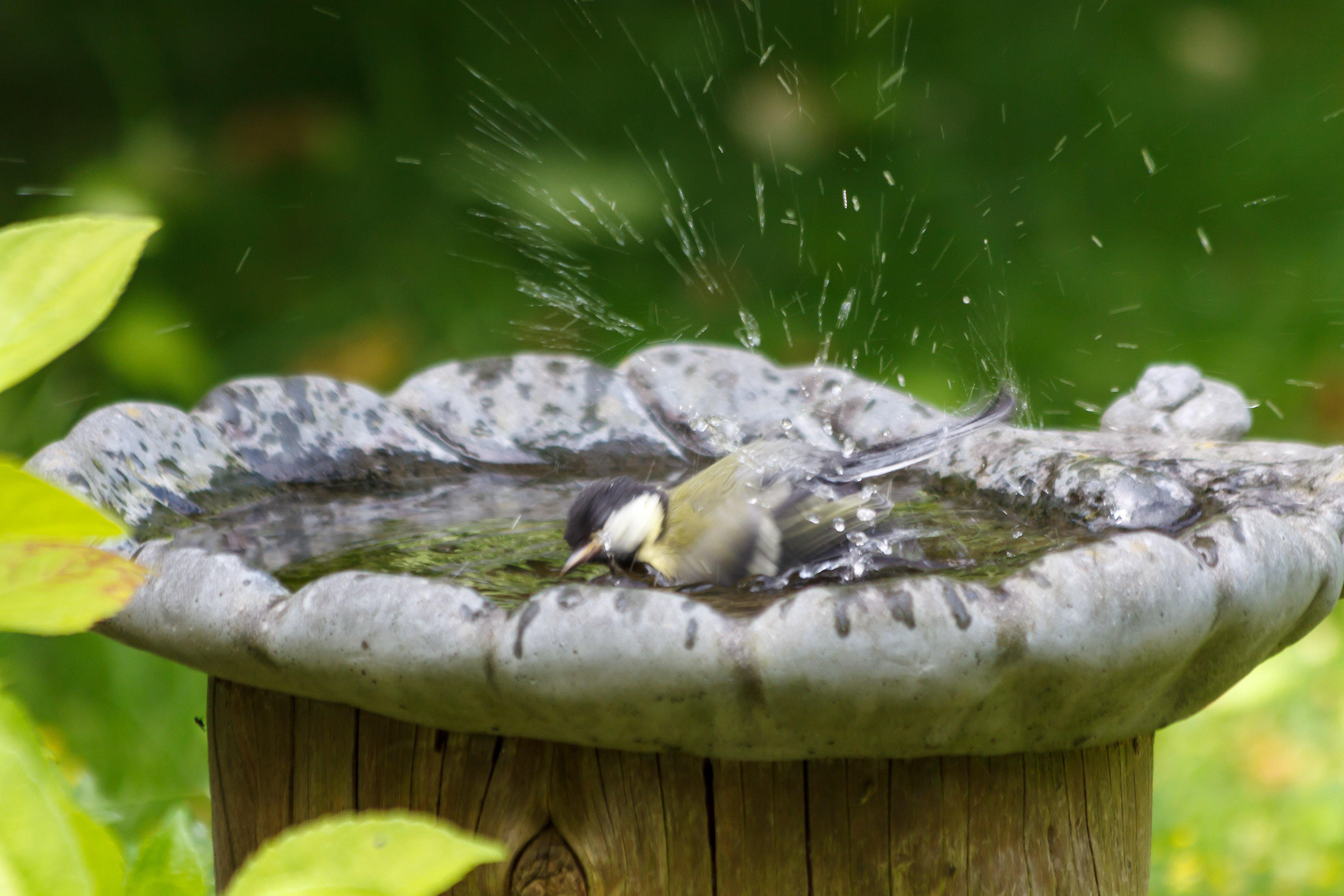 Spetter, spatter, spater, ga maar vast naar huis, ik kom een druppel later ...