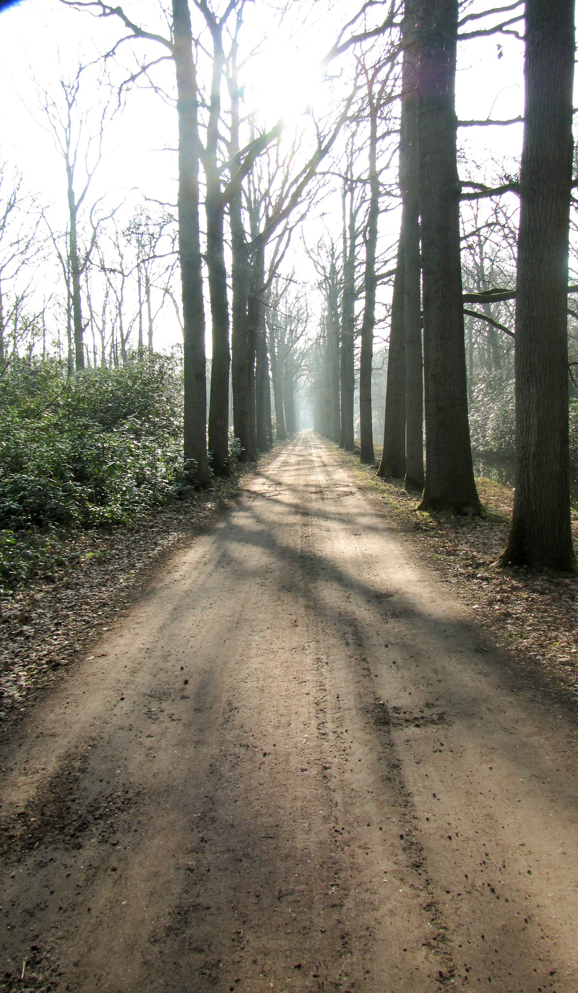 Westerpark, Zoetermeer