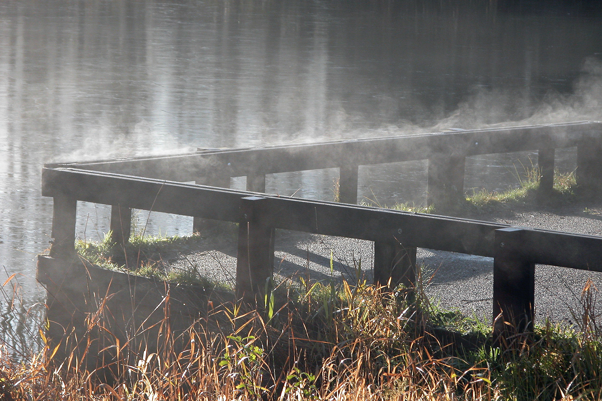 Westerpark, Zoetermeer