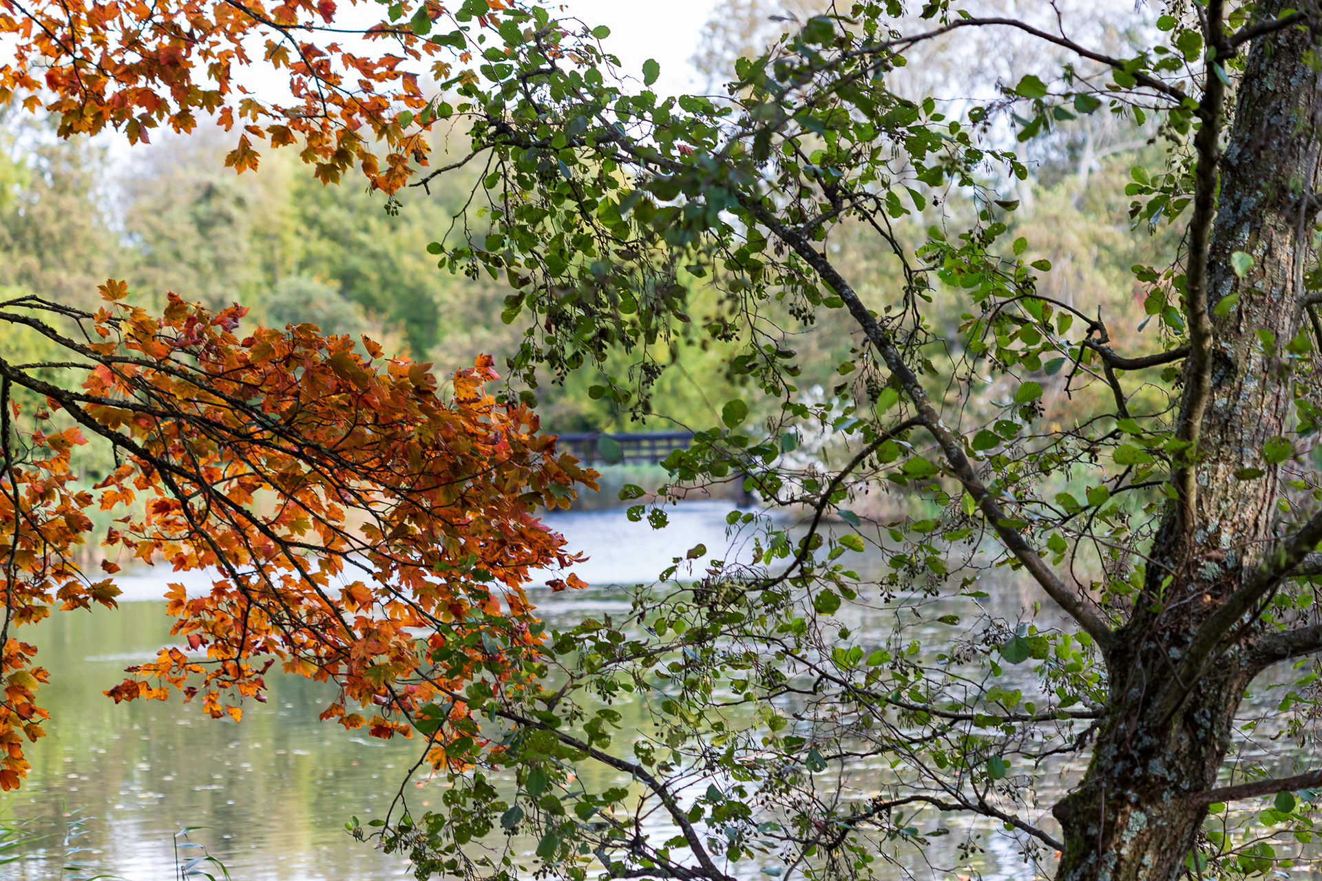 Westerpark, Zoetermeer