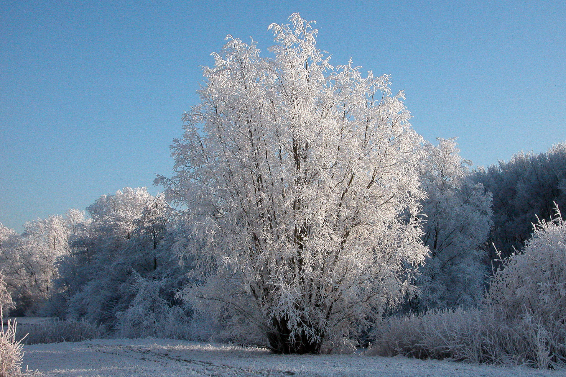 Westerpark, Zoetermeer