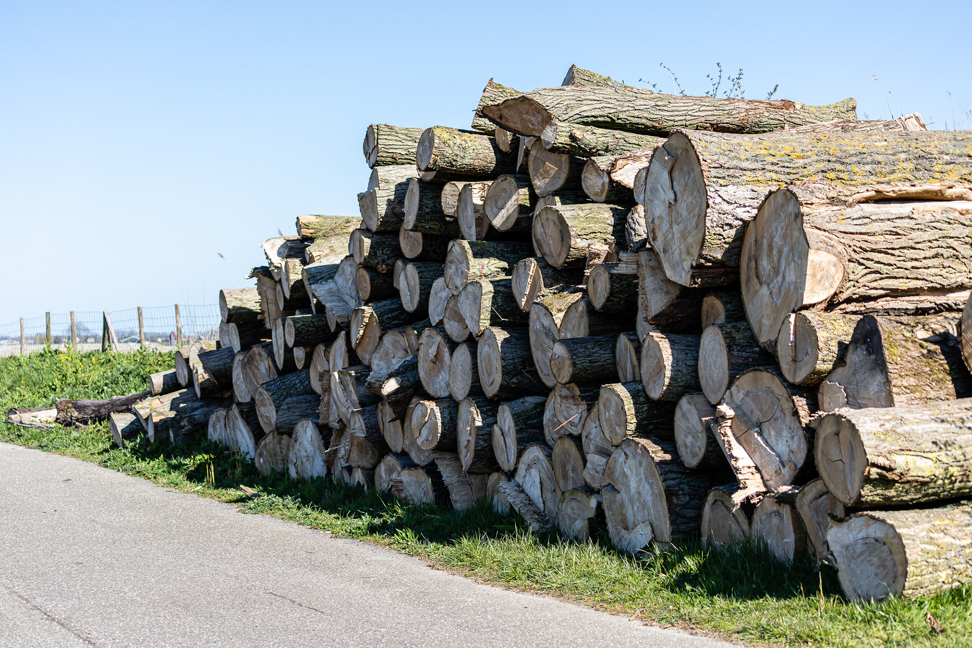 Buytenpark, Zoetermeer