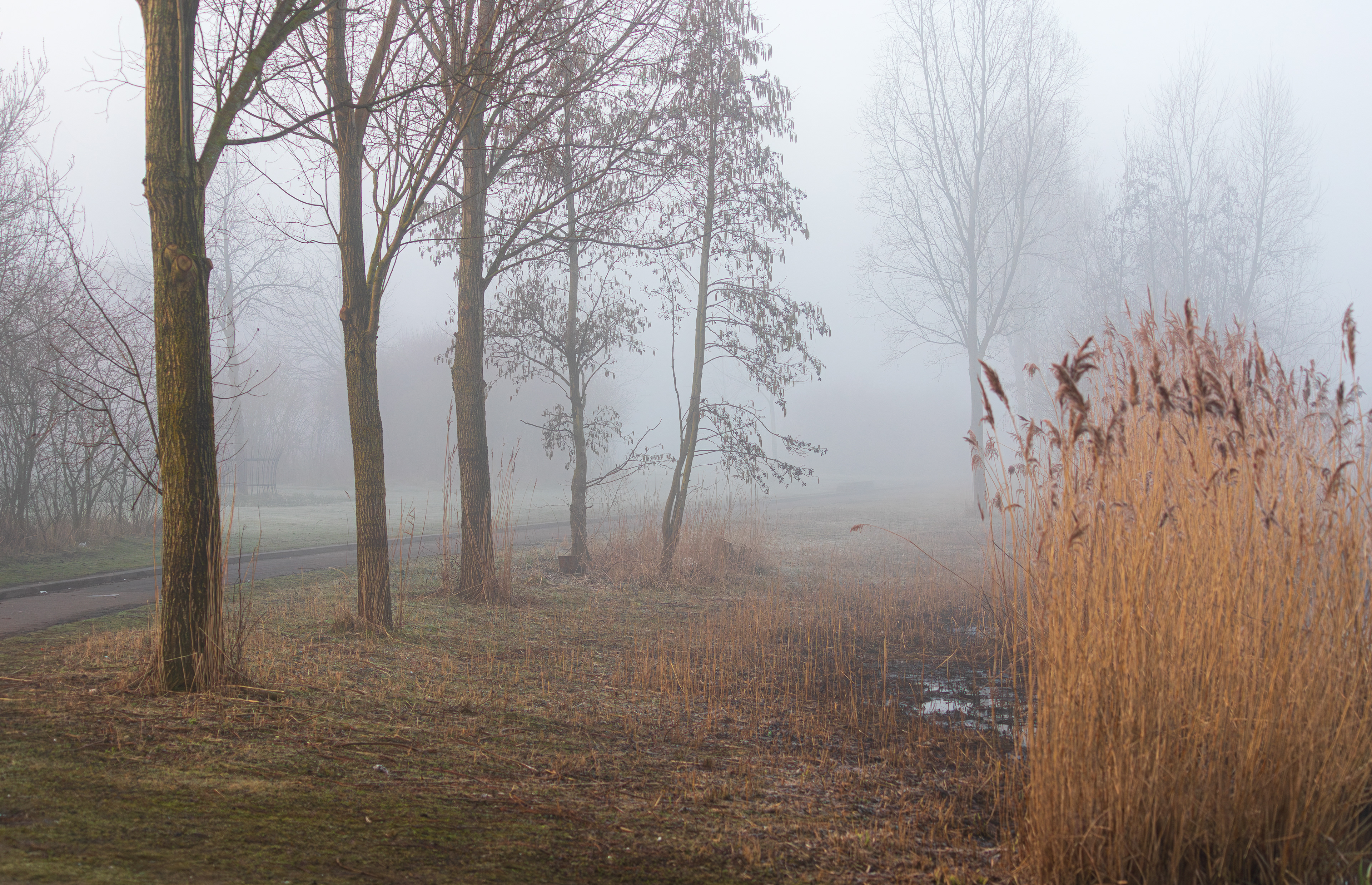 Oosterheem, Zoetermeer