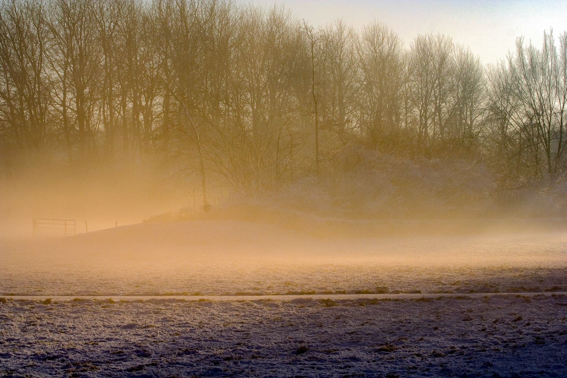 Westerpark, Zoetermeer