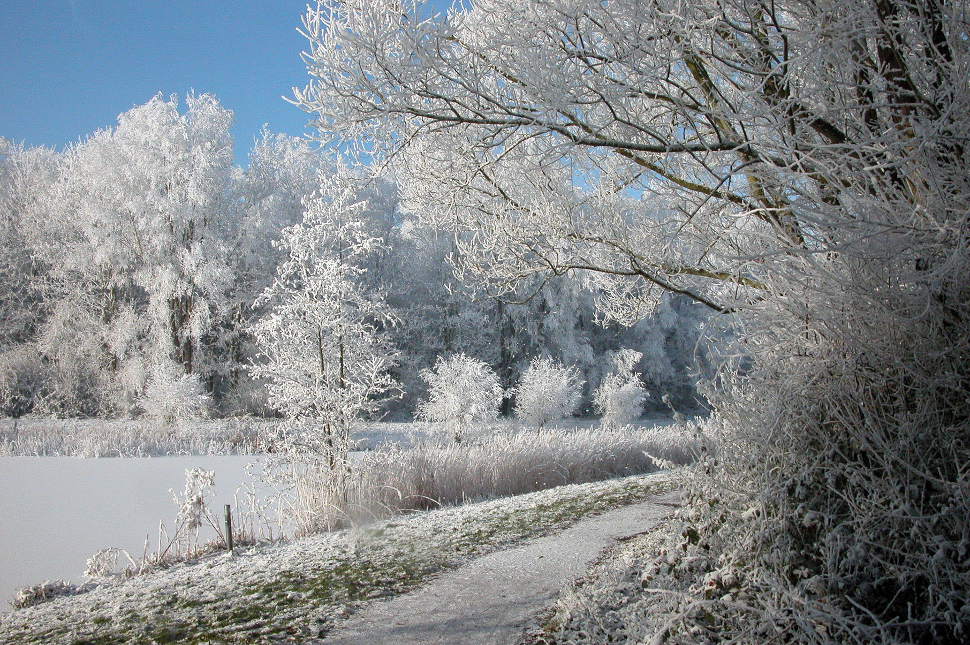 Westerpark, Zoetermeer