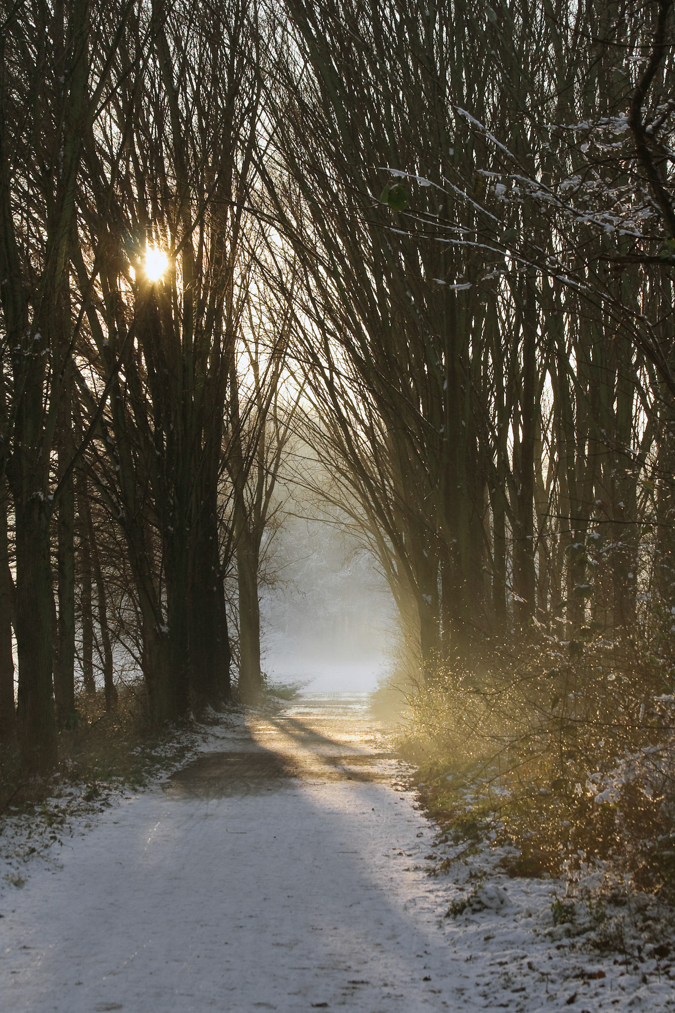 Westerpark, Zoetermeer