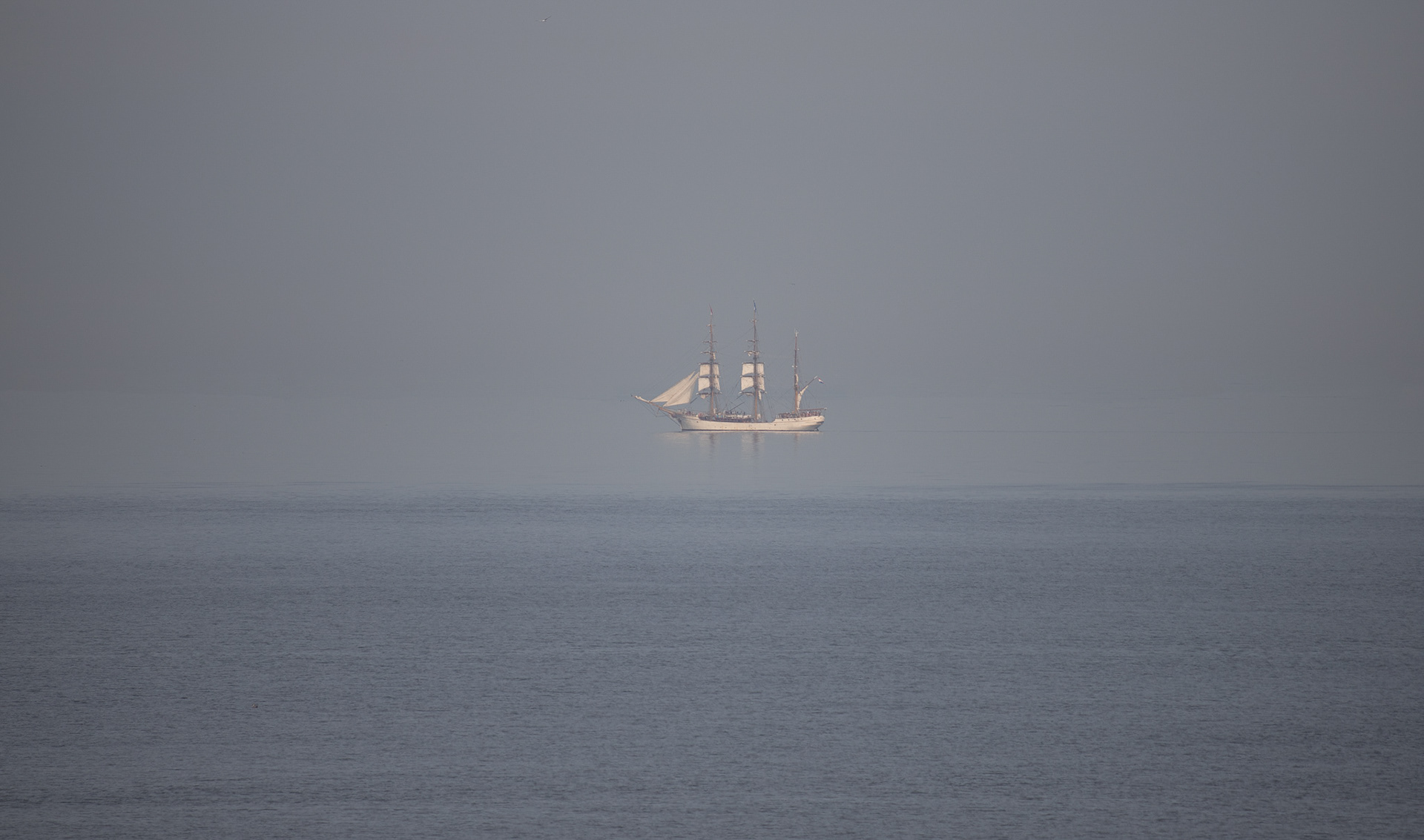 Zwevend boven het water