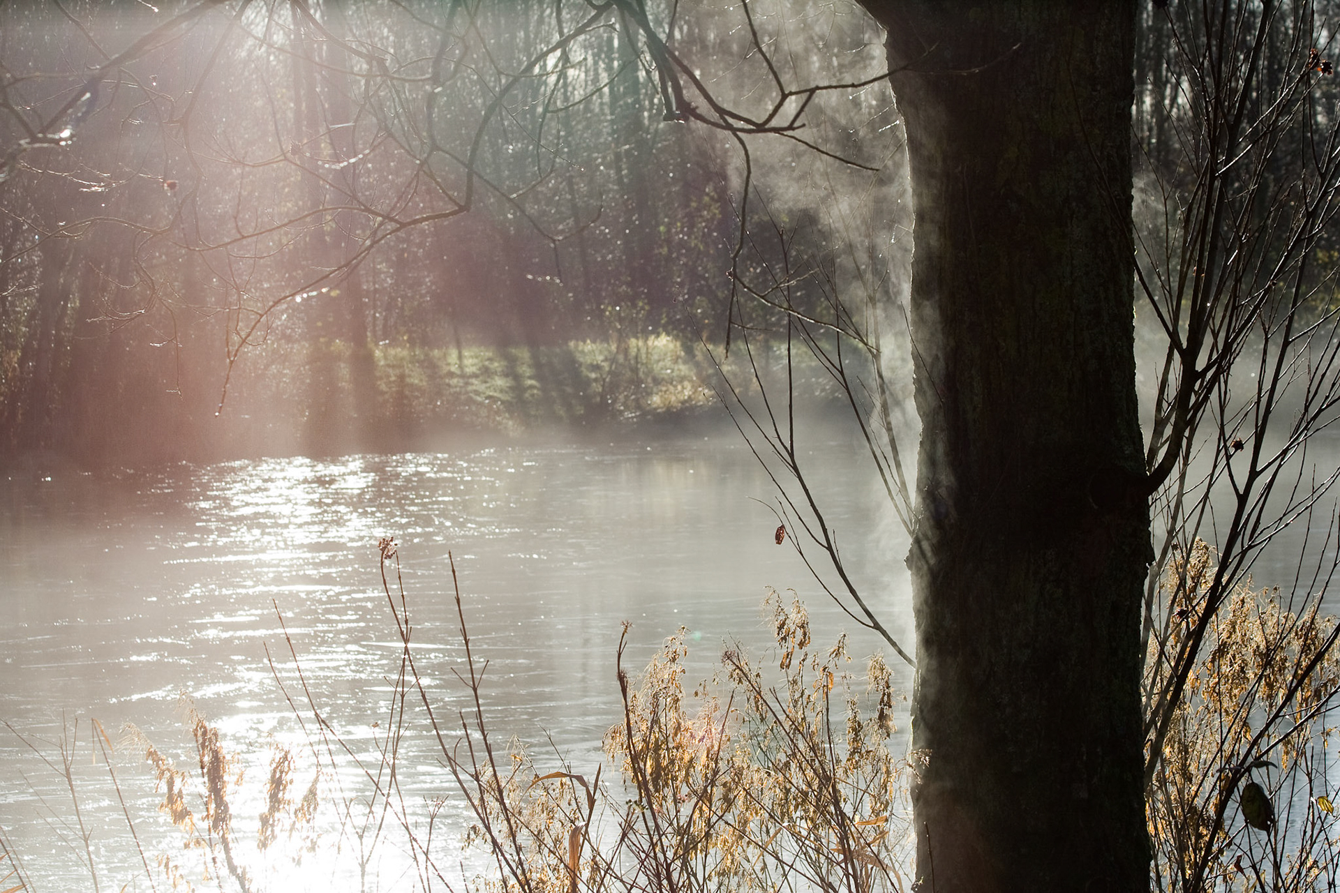 Westerpark, Zoetermeer