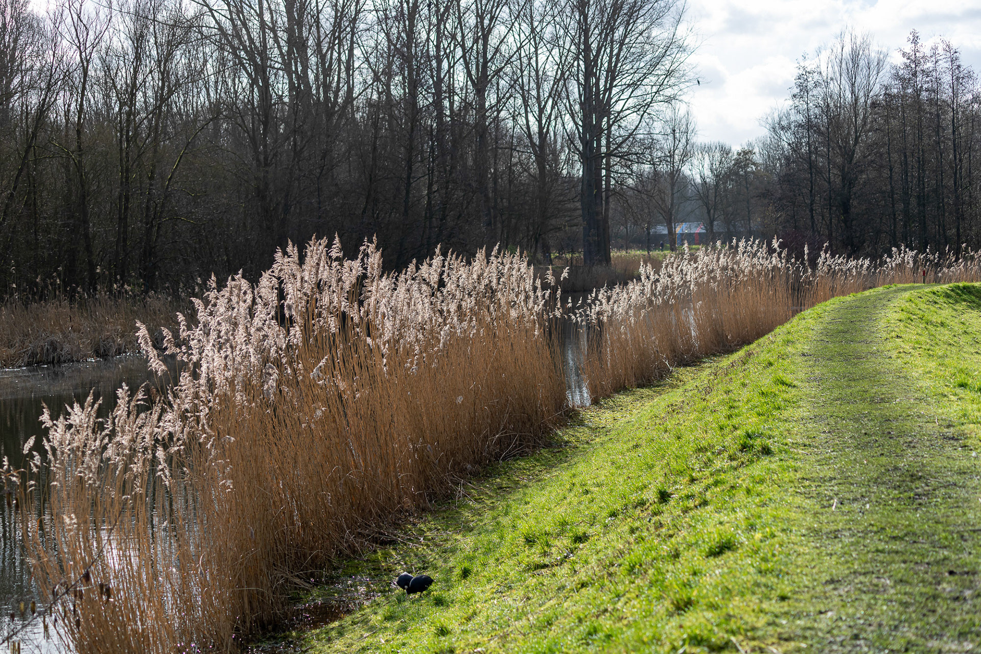 Westerpark, Zoetermeer