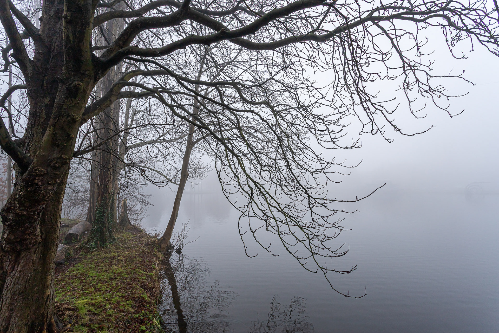 Zoetermeer in de mist