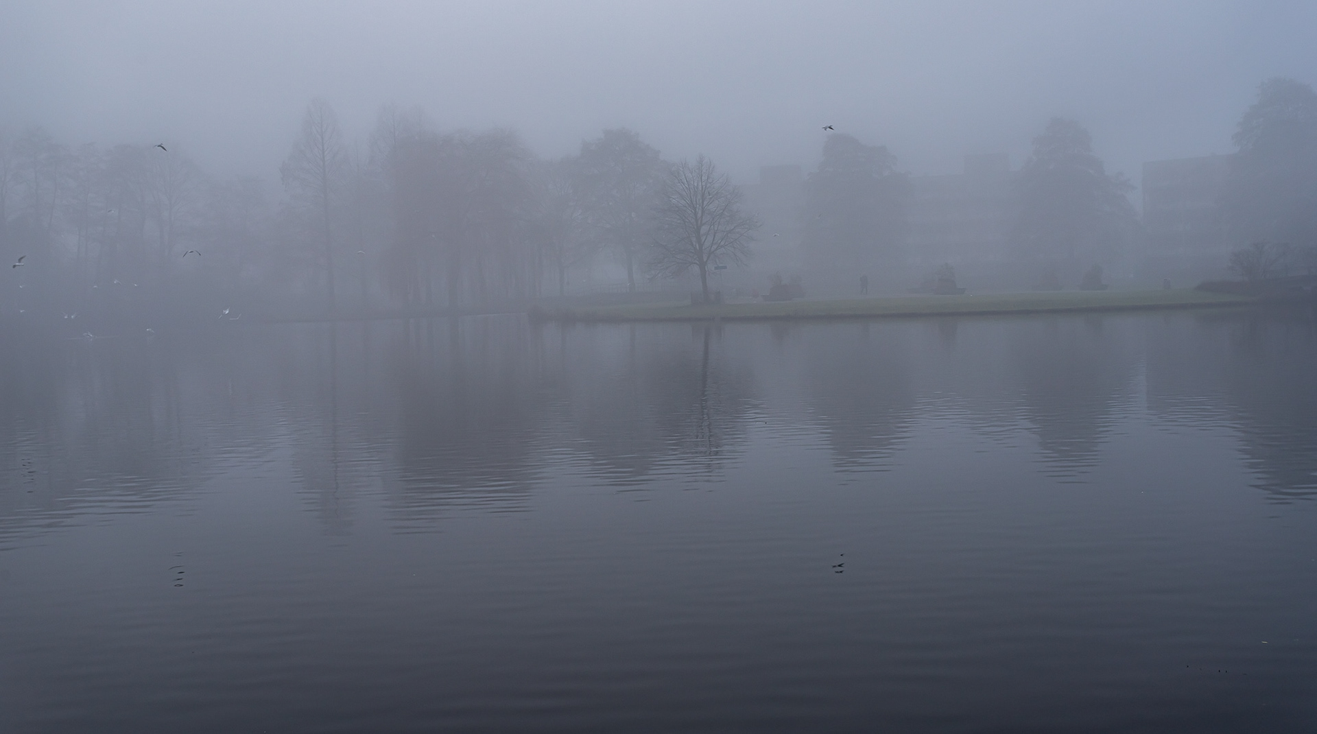 Zoetermeer in de mist