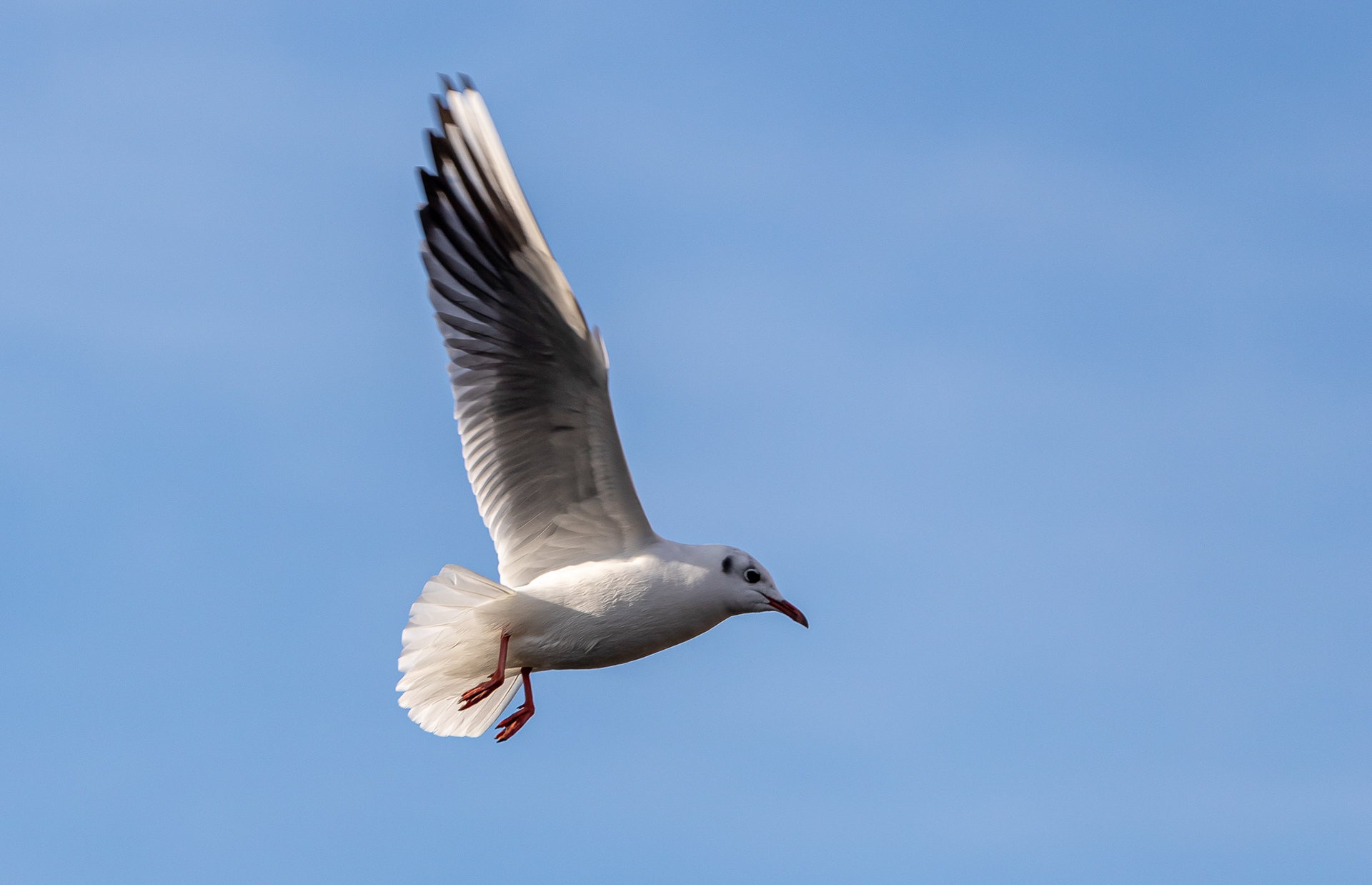 Klaar voor de landing..... 