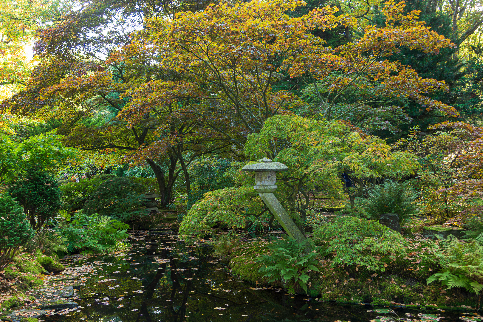 Japanse Tuin