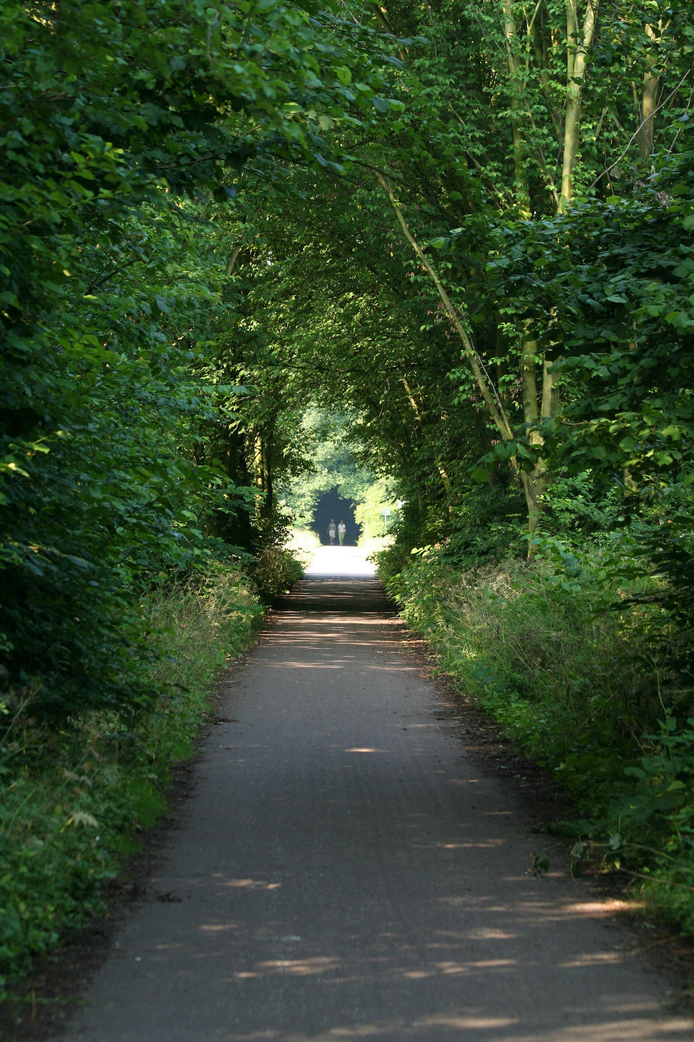 Westerpark, Zoetermeer