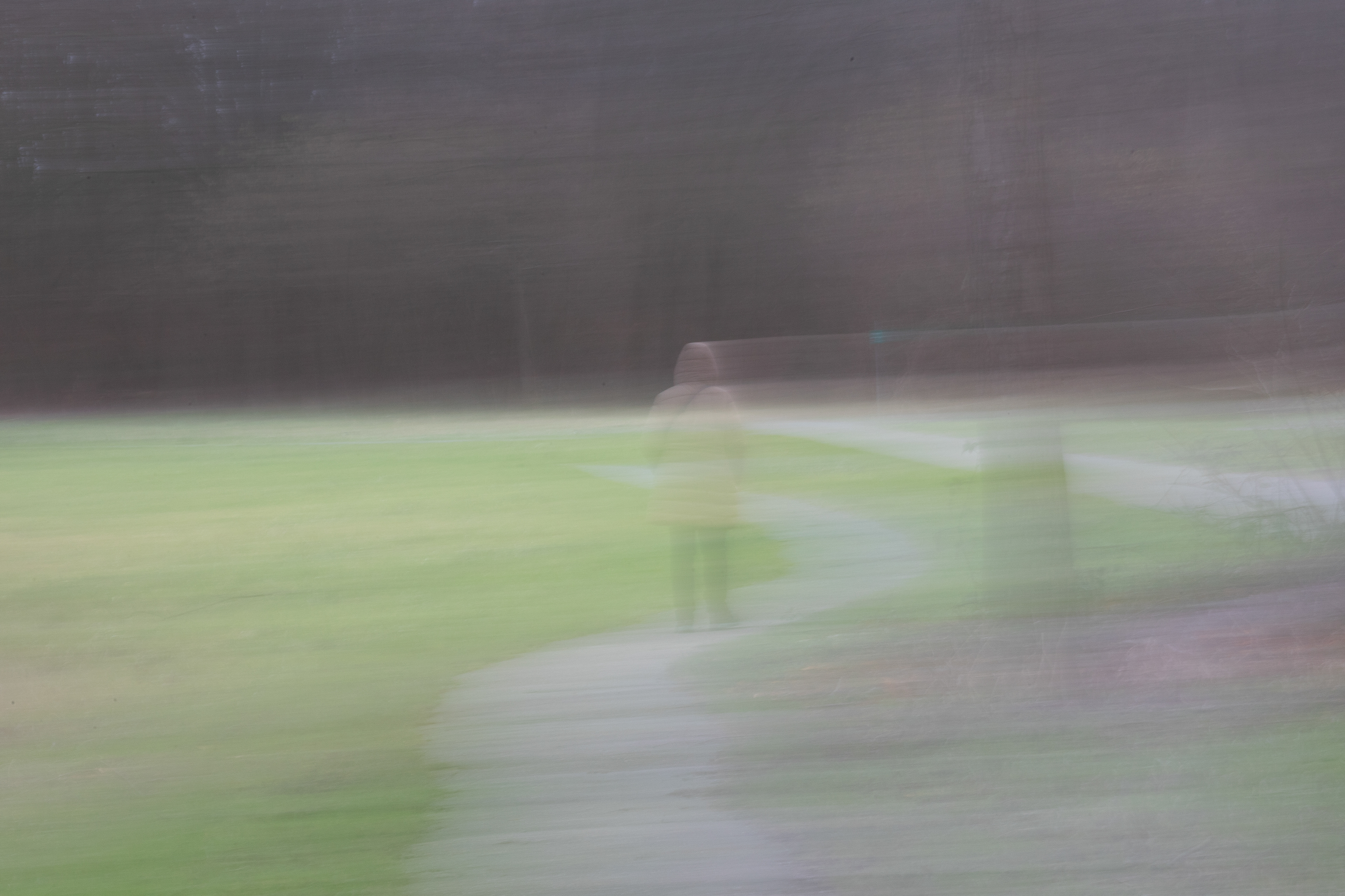 Intentional Camera Movement (ICM)