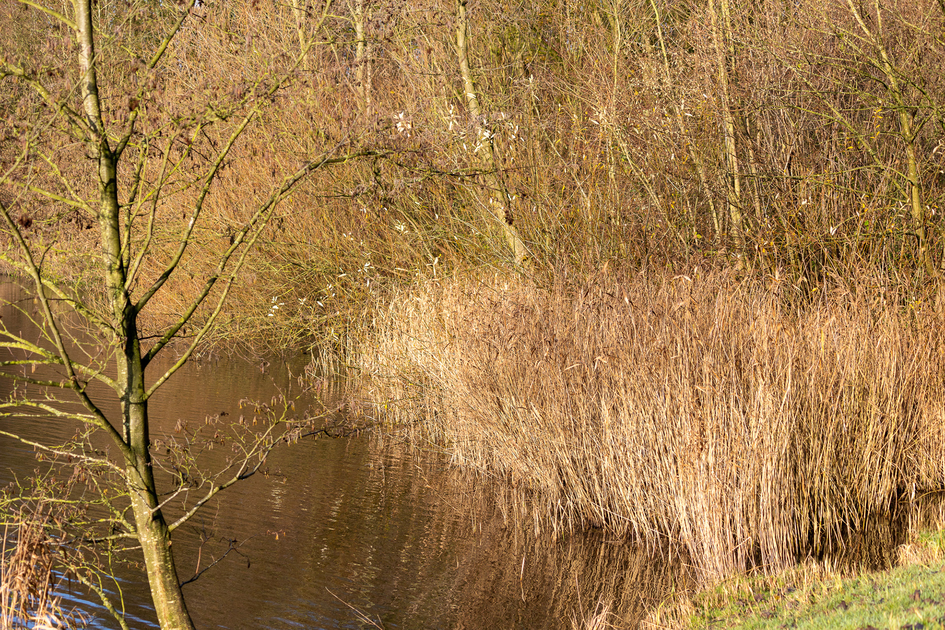Westerpark, Zoetermeer