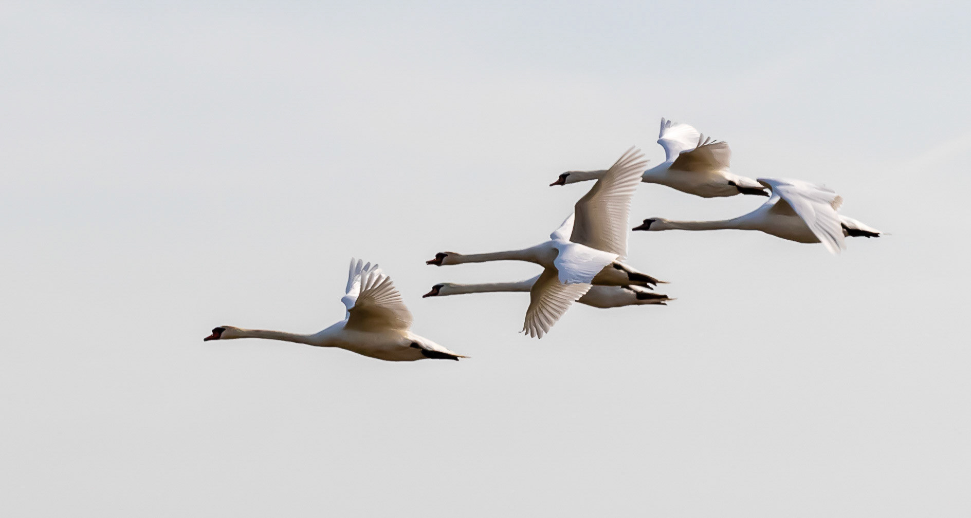 Benthuizerplas Zoetermeer