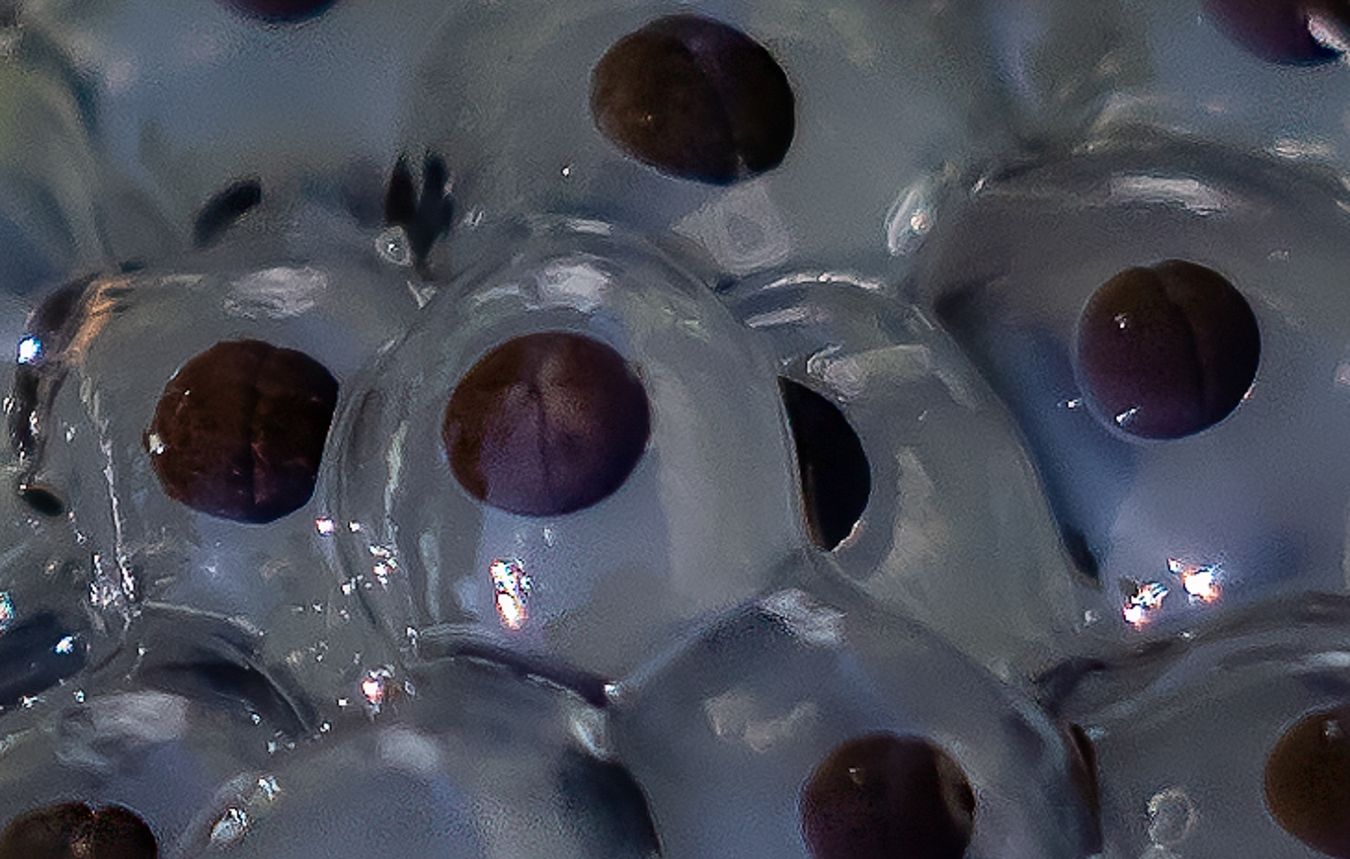 en dit is ook kikkerdril.......