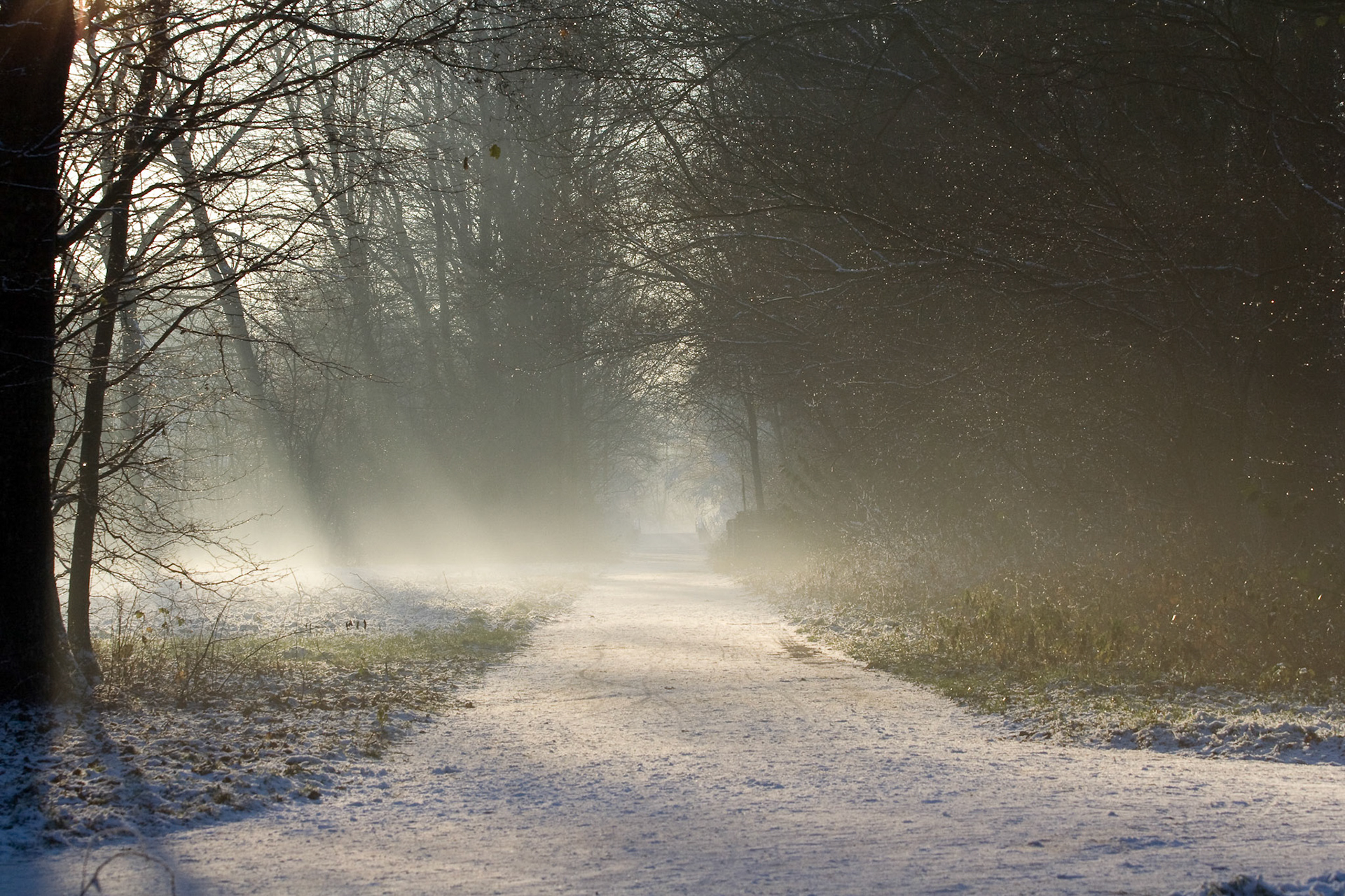 Westerpark, Zoetermeer
