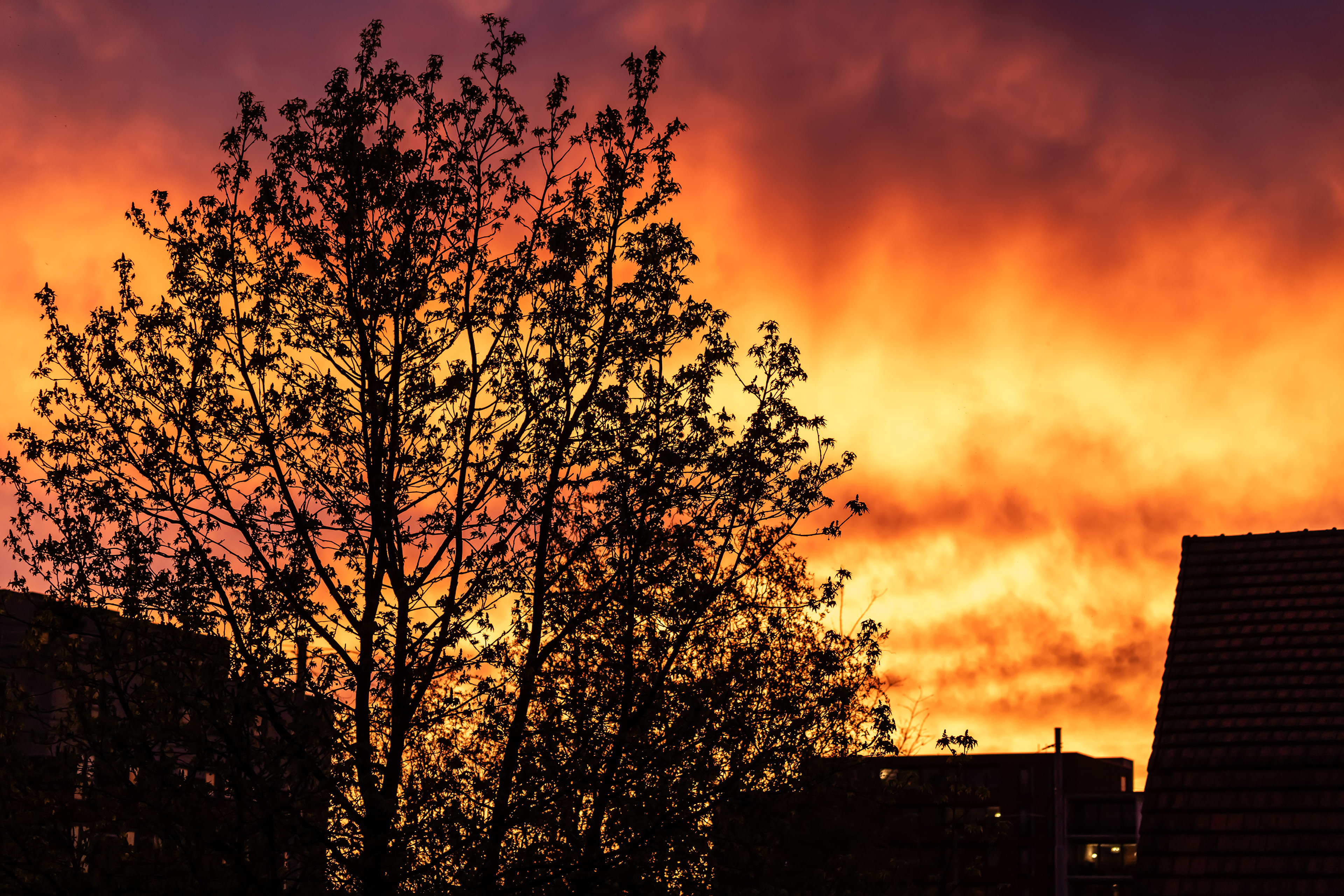 Saharazand kleurt de avondzon ...