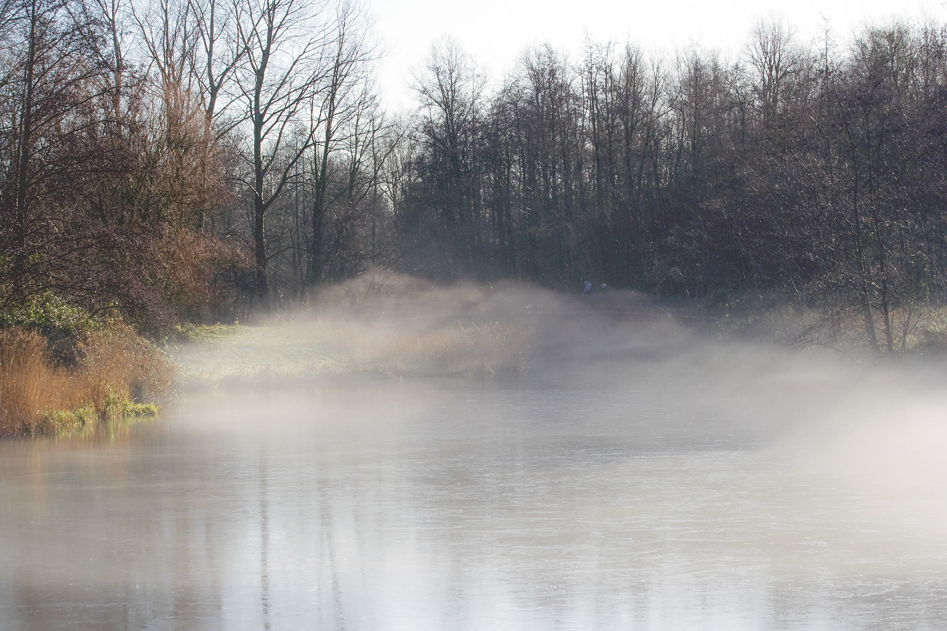 Westerpark, Zoetermeer