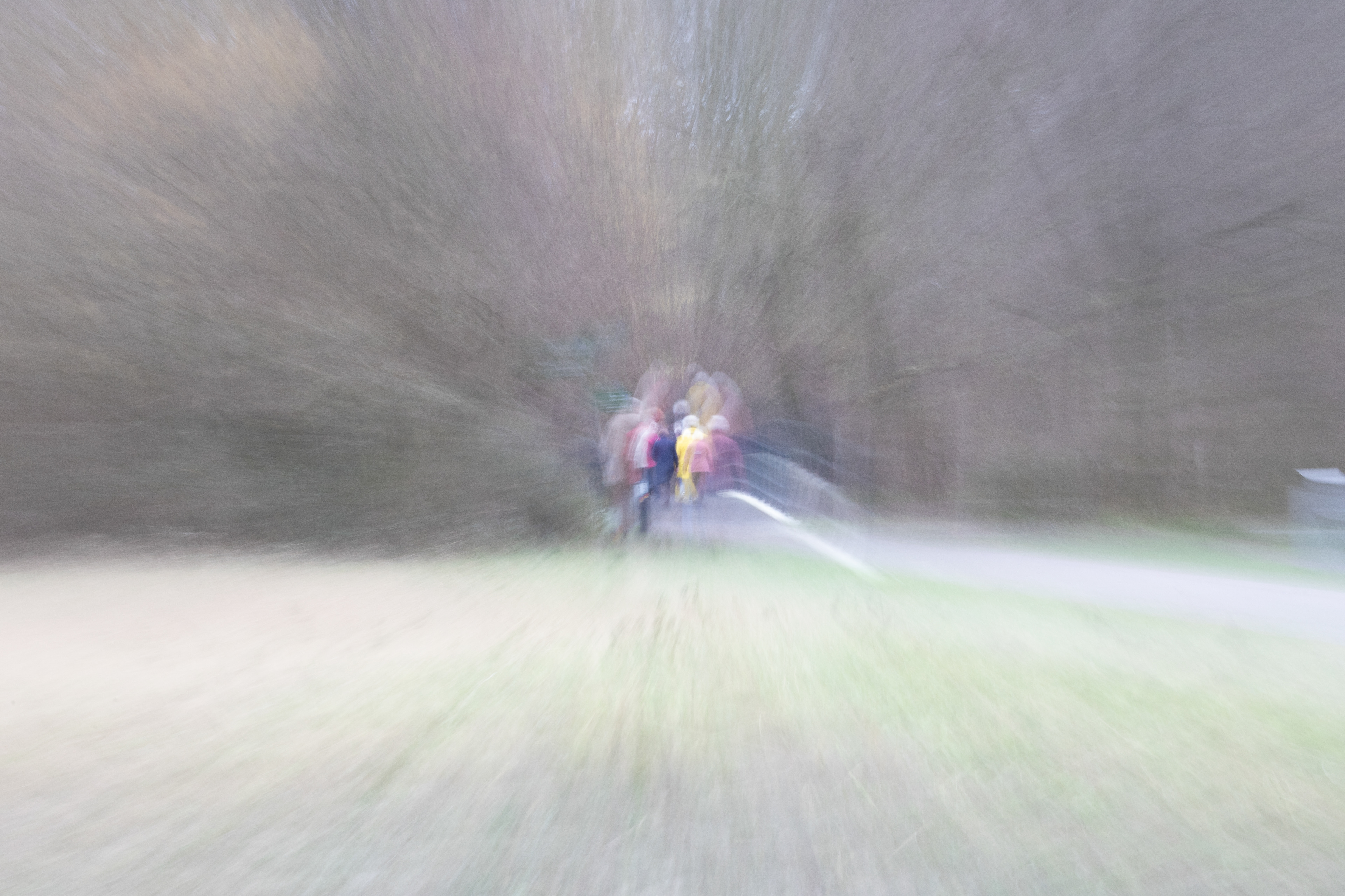 Intentional Camera Movement (ICM)