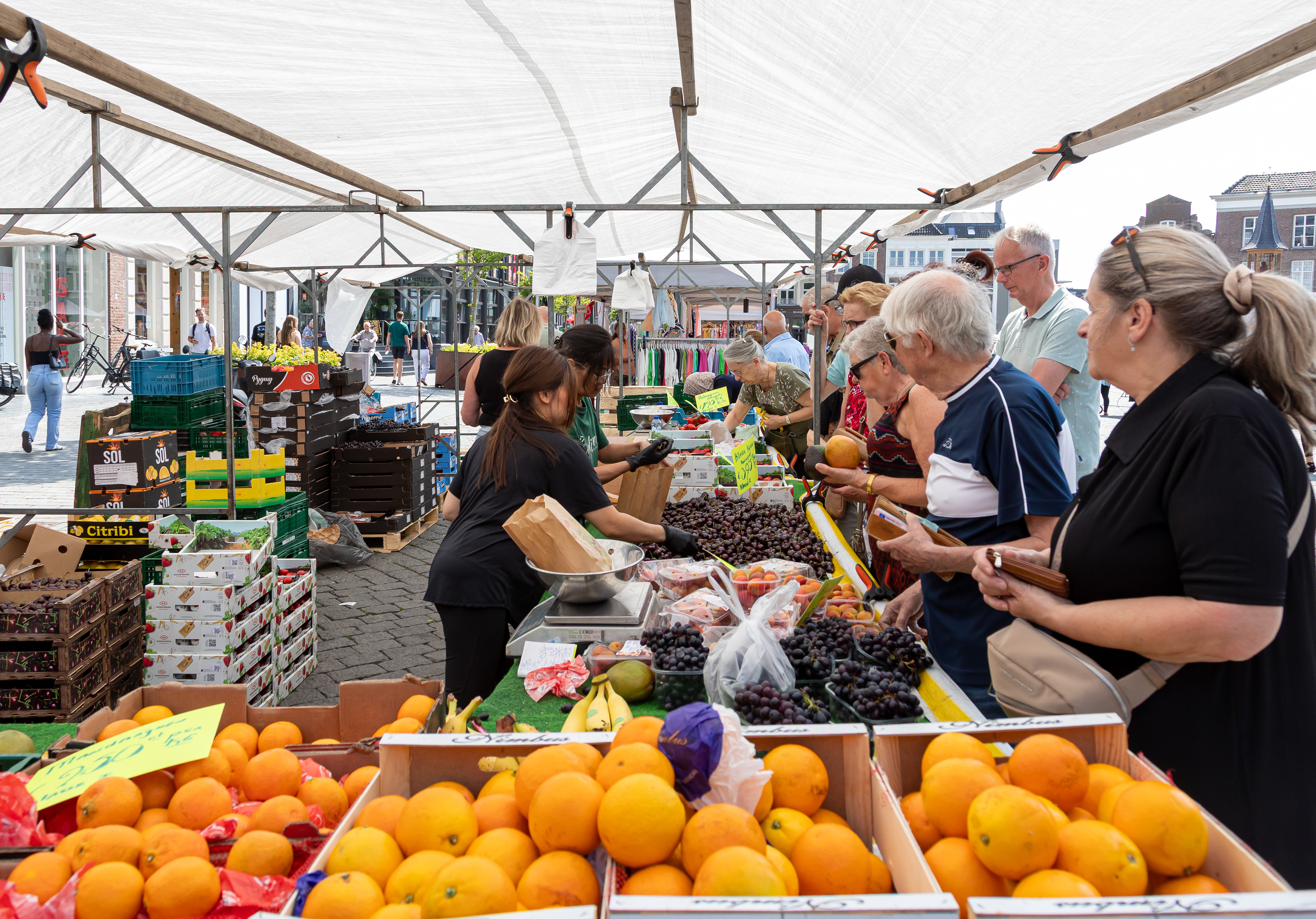 Markt  's-Hertogenbosch 2025