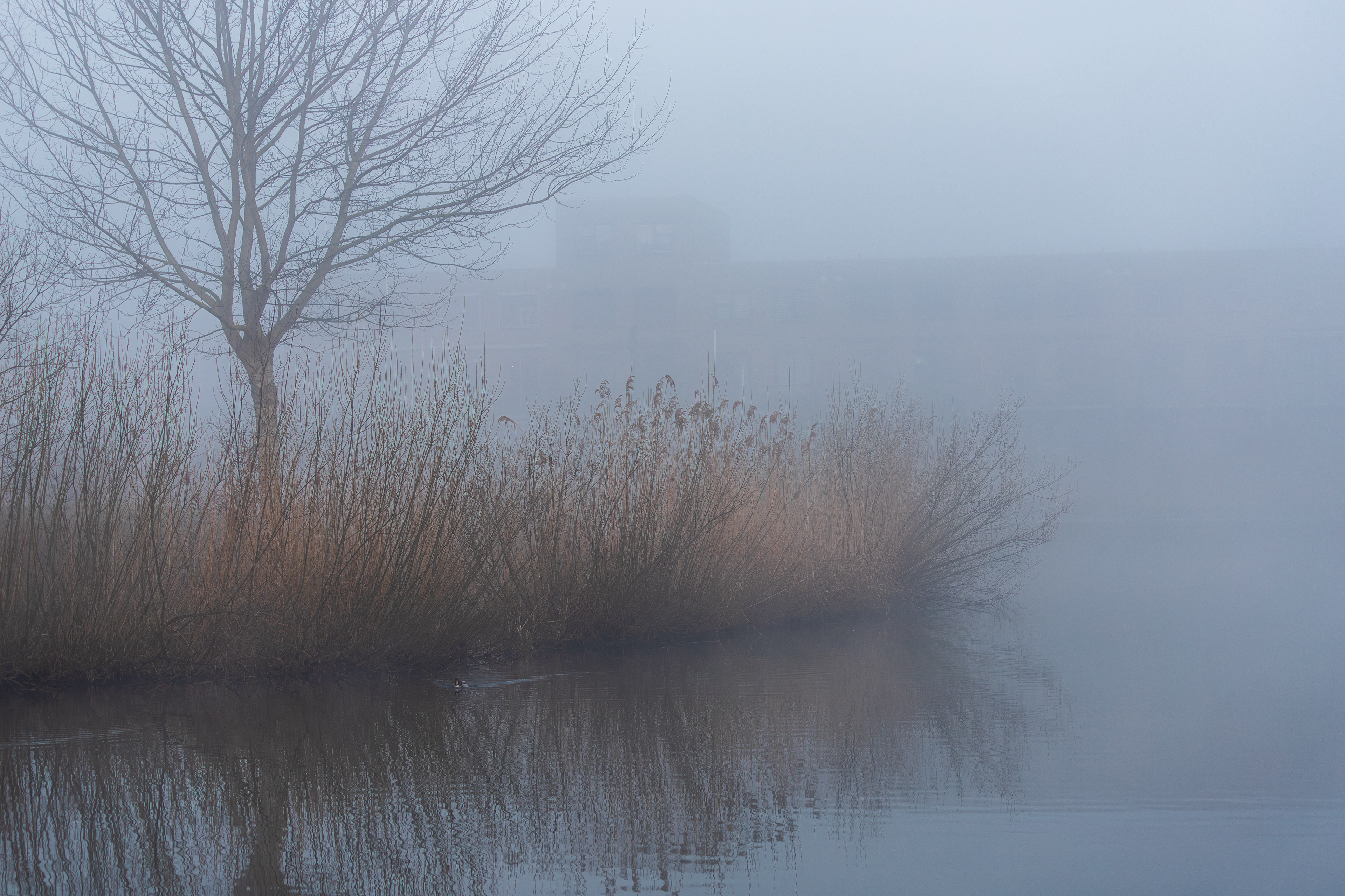 Oosterheem, Zoetermeer