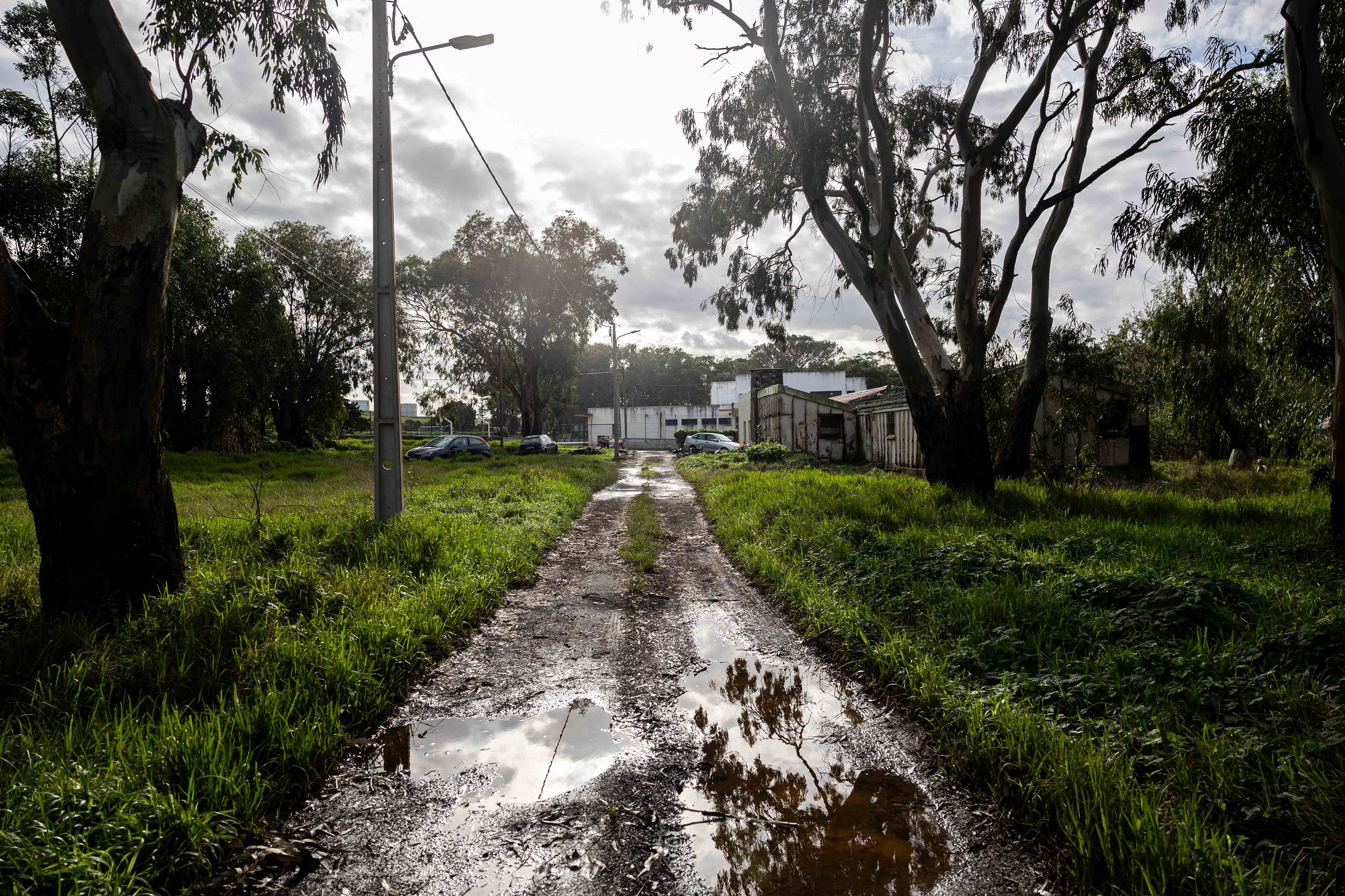Bairro de São Lourenço, junto ao Aeroporto de Santa Maria. Vila do Porto, 11 Dezembro 2023 ©Hugo Moreira