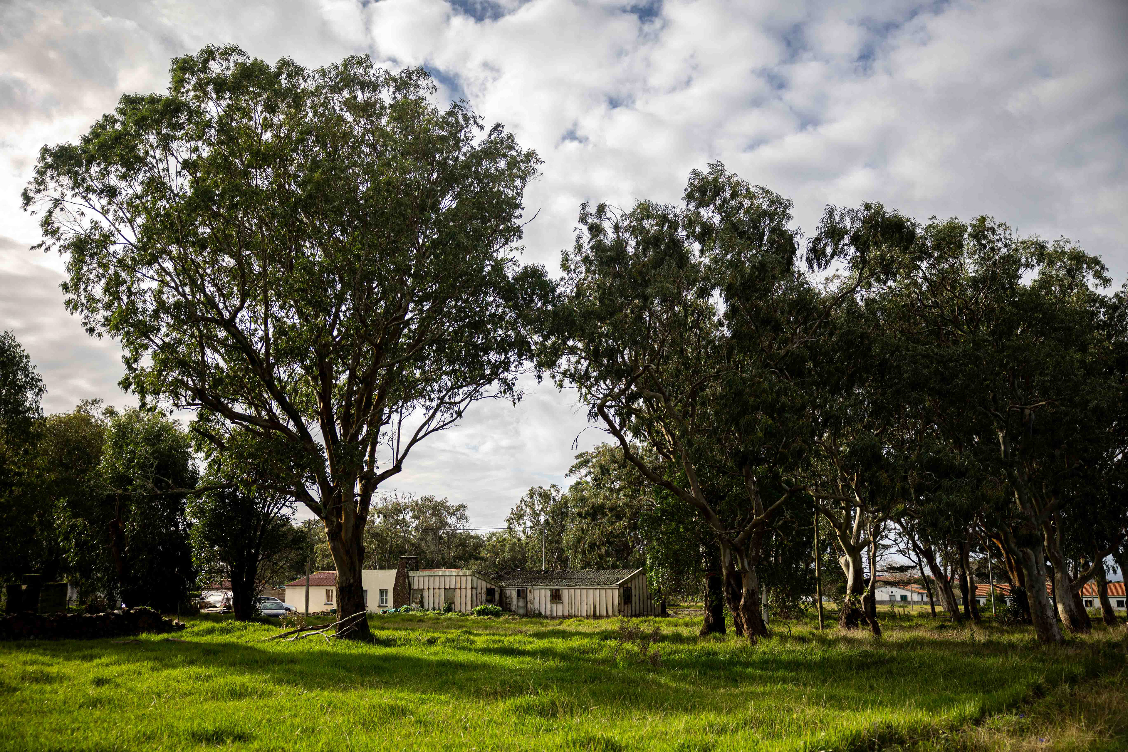 Bairro de São Lourenço, junto ao Aeroporto de Santa Maria. Vila do Porto, 11 Dezembro 2023 ©Hugo Moreira