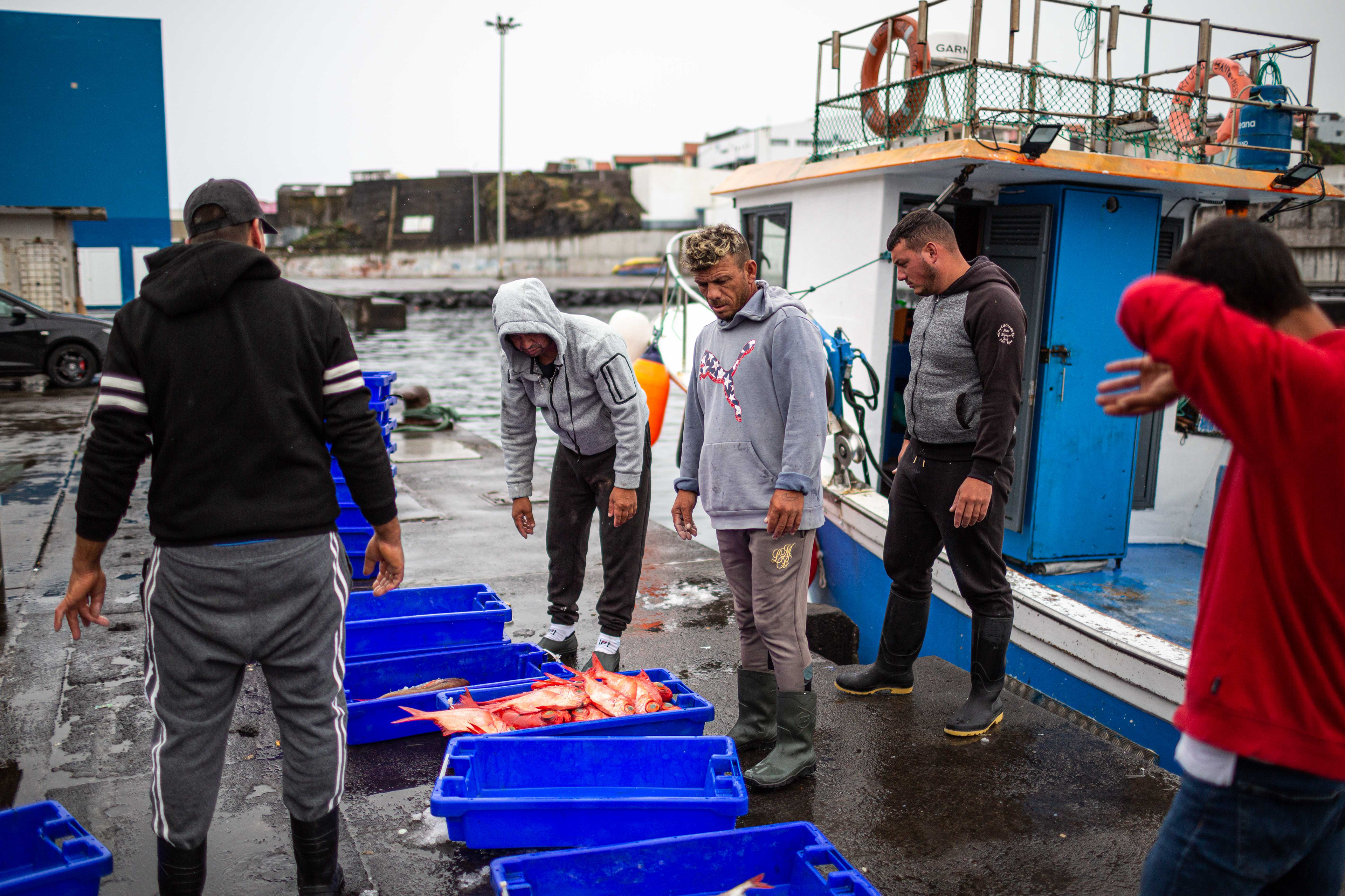 Retrato de pescadores. Ribeira Grande, Junho 2023