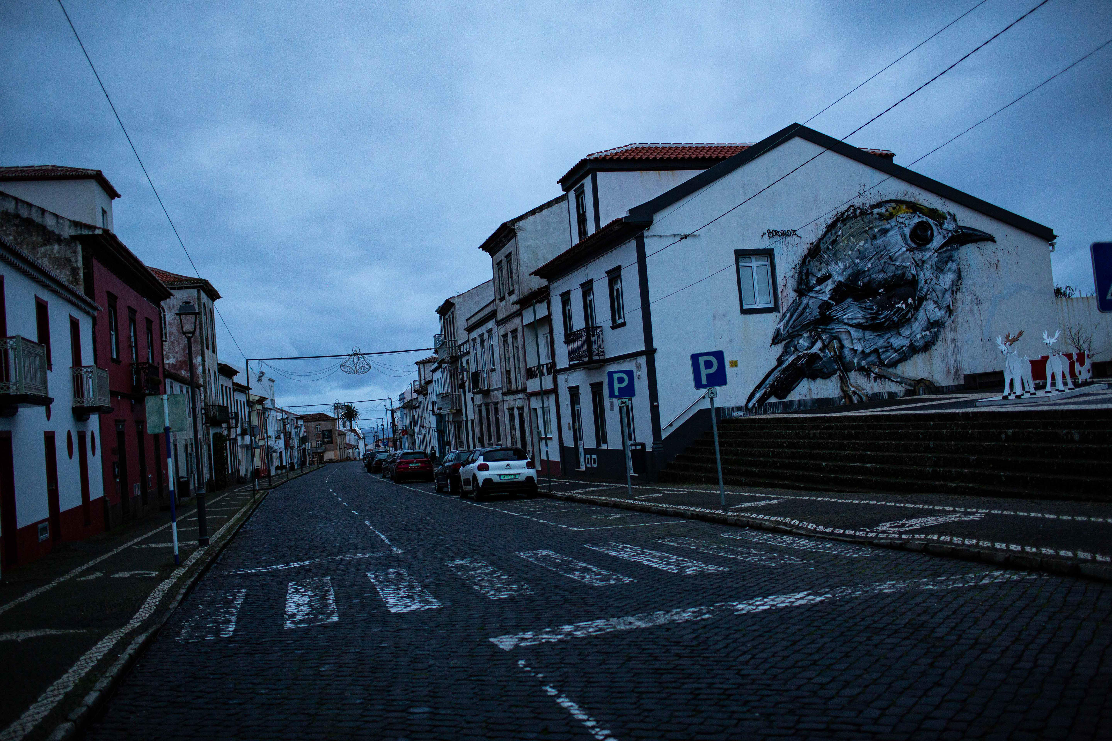 Bordalo II. Vila do Porto, 11 Dezembro 2023 ©Hugo Moreira
