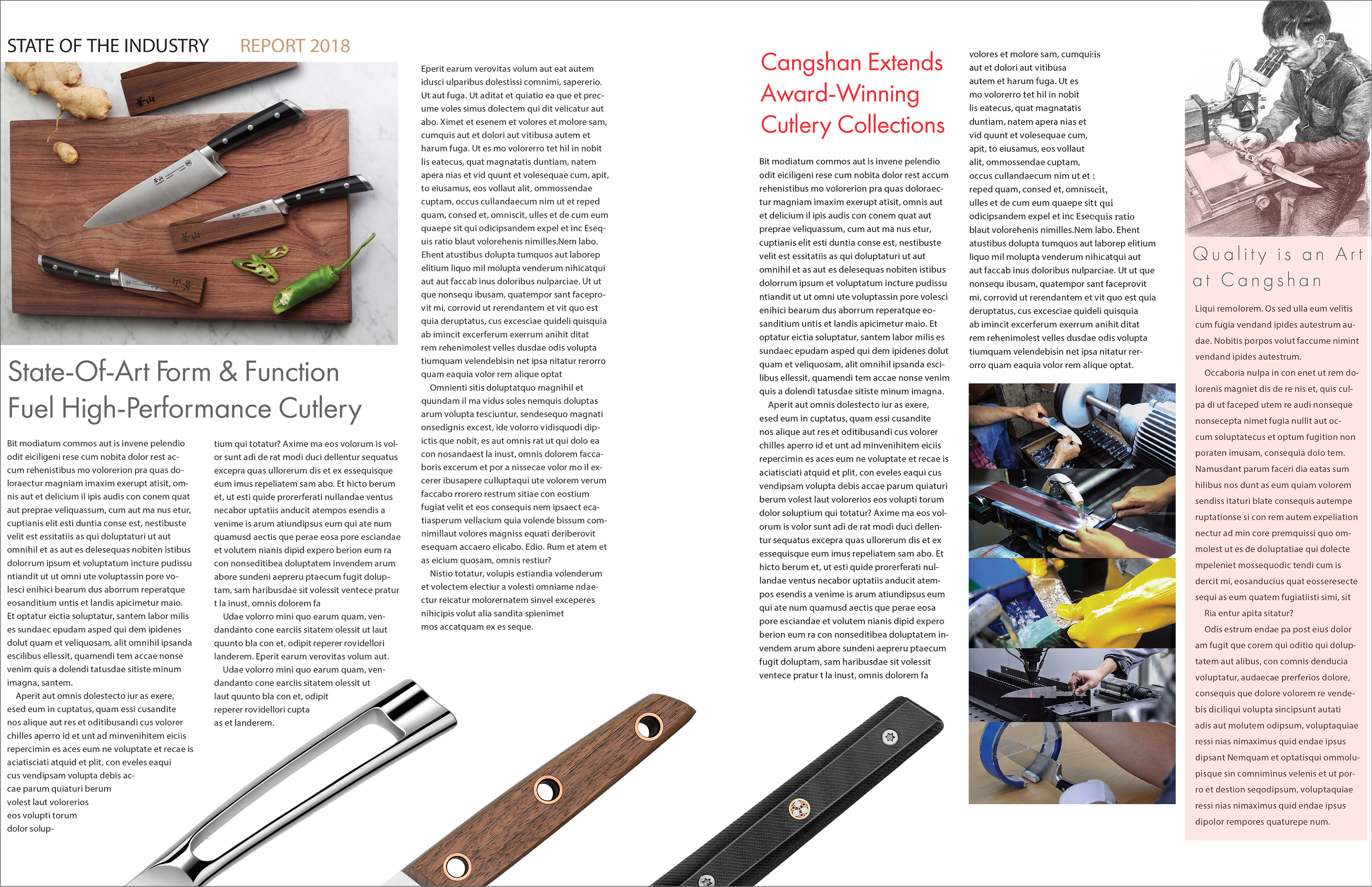 cangshan homeworld 2018 8 page foldgate back side 2-3