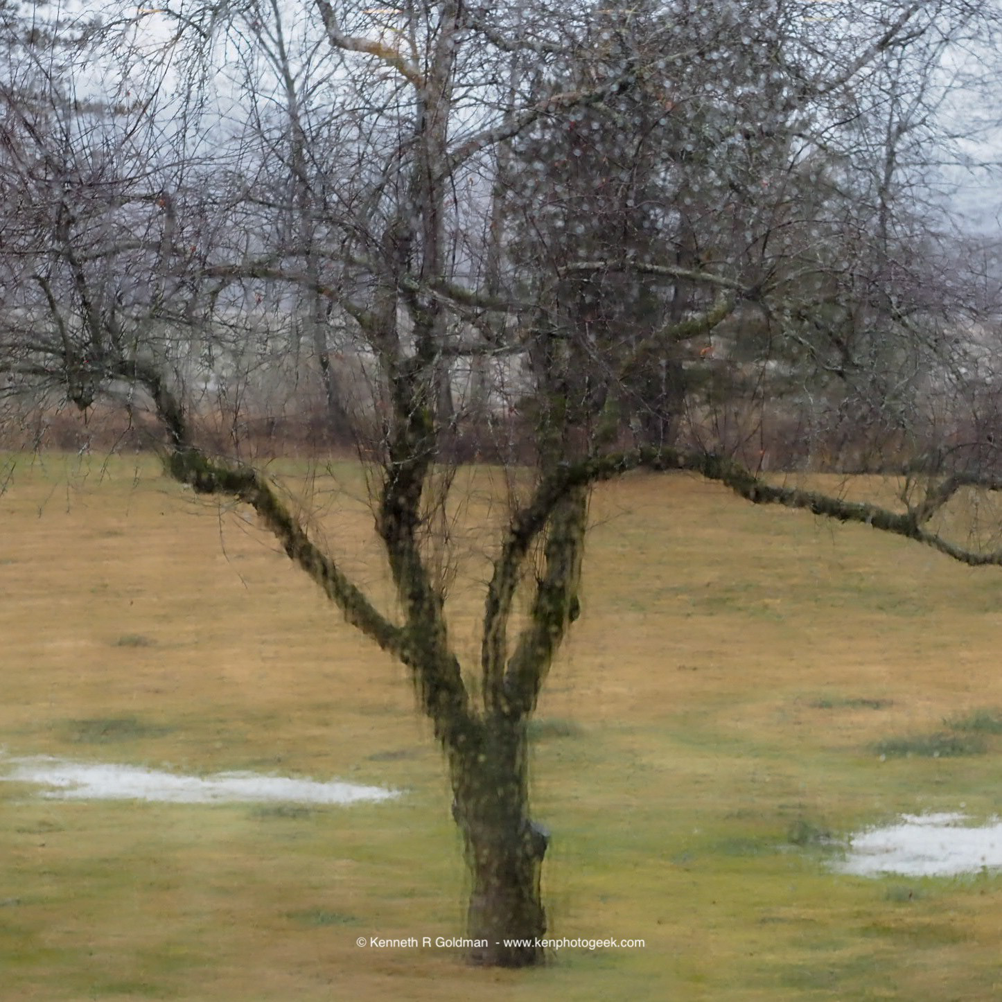 Dreary Day in Deerfield