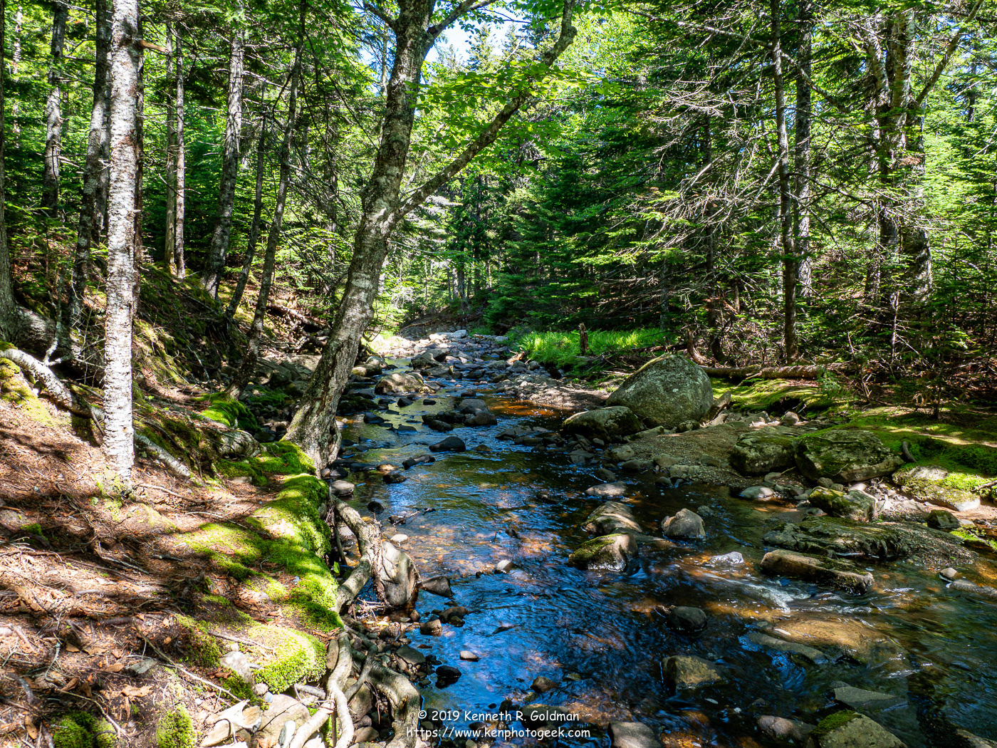 Hiking on Grand Manan