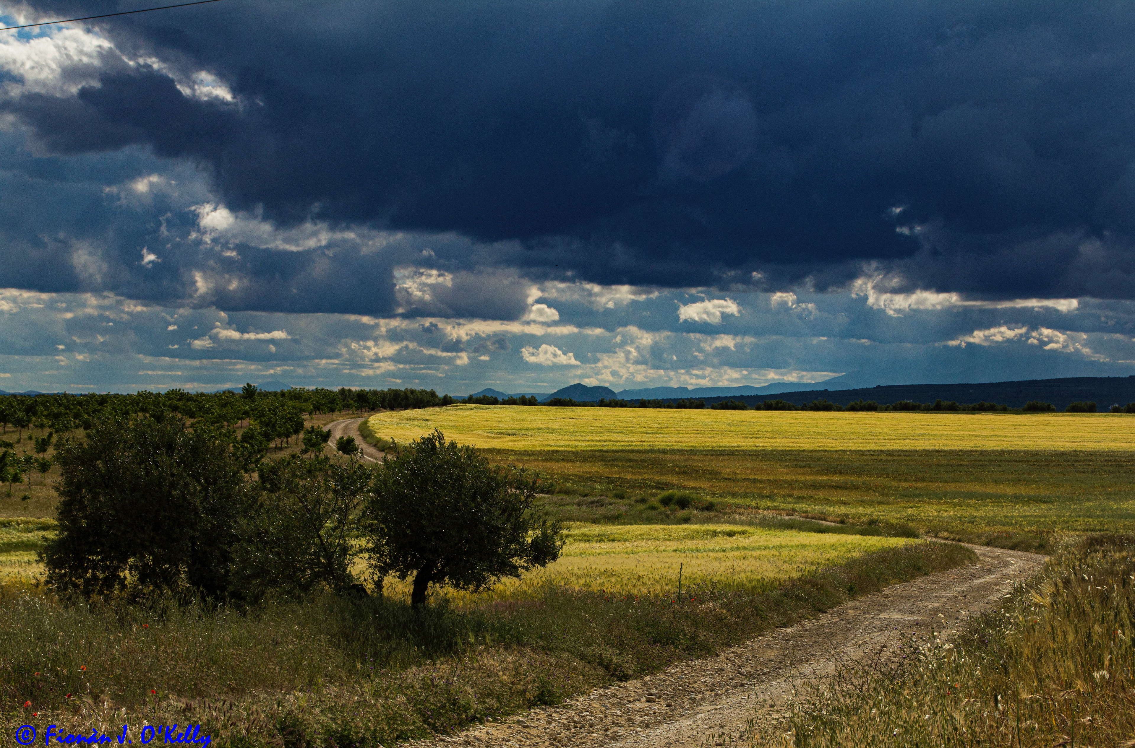 Clouds over the weat fields