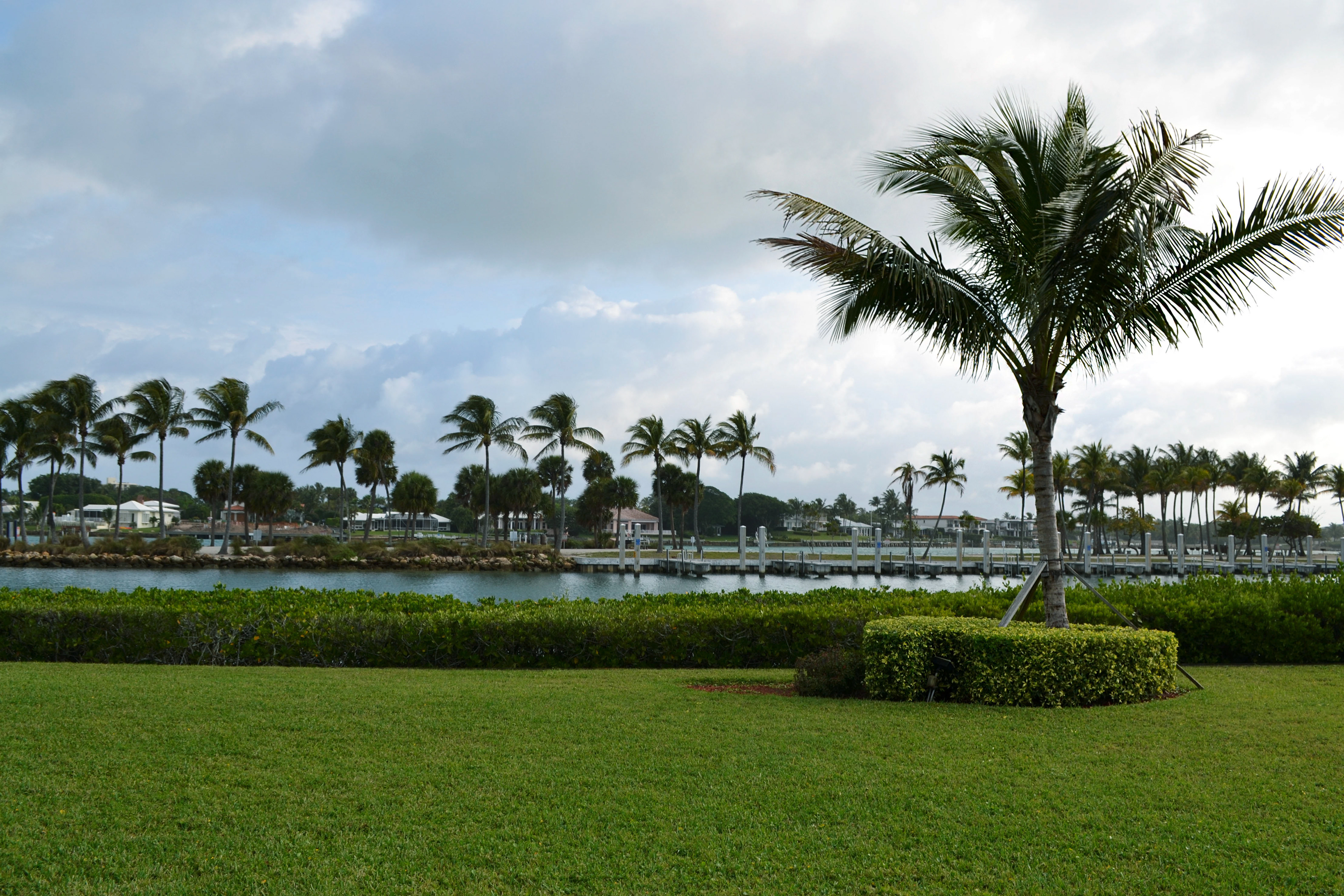 Palmtrees everywhere you go